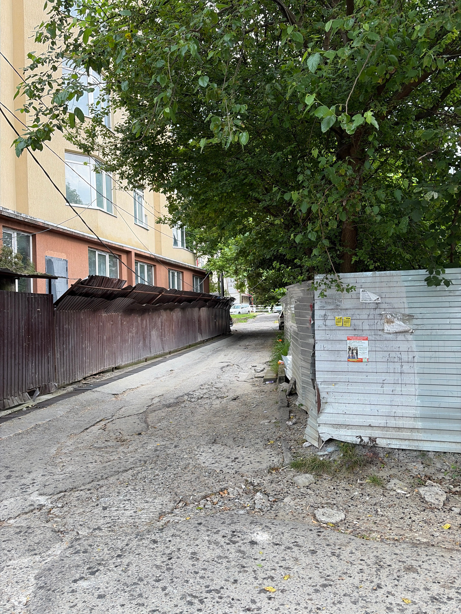 The image shows a narrow, worn asphalt path bordered by a damaged corrugated metal fence on the right and a brown corrugated metal fence on the left. Behind the brown fence is a multi-story building with beige and orange sections and numerous windows. A large tree with dense green foliage overhangs the path and the building. The path appears to be in a state of disrepair with cracks and debris. In the distance, a few cars are visible on a street. The scene suggests an urban, possibly back-alley or service area, setting. The provided context indicates the location is Sochi, Russia, although this cannot be visually confirmed from the image alone.