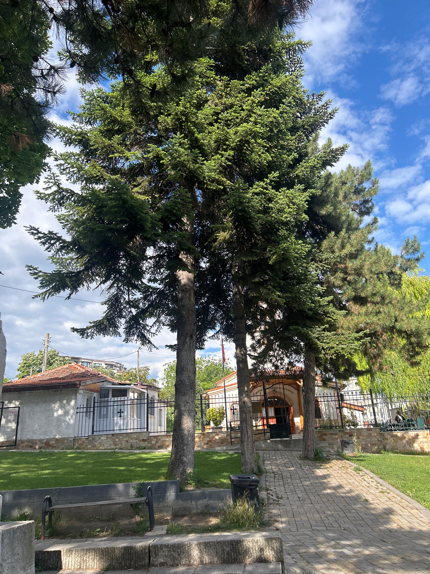 The image depicts a paved pathway leading towards a building with a red-tiled roof and an arched entrance, likely a church or chapel. Large evergreen trees, possibly pines or spruces, dominate the foreground, their branches casting shadows on the path and the surrounding grassy area. A black metal fence encloses the property. To the left, a small, white building with a similar red roof is visible, also behind a black fence. A simple wooden bench with metal legs sits on a raised stone platform in the lower left quadrant of the image. A trash bin is positioned near the pathway. The sky above is a vibrant blue with scattered white clouds. The architectural style of the buildings and the presence of evergreen trees suggest a location in a temperate climate, consistent with Varna, Bulgaria. The scene appears serene and quiet, with no people visible.