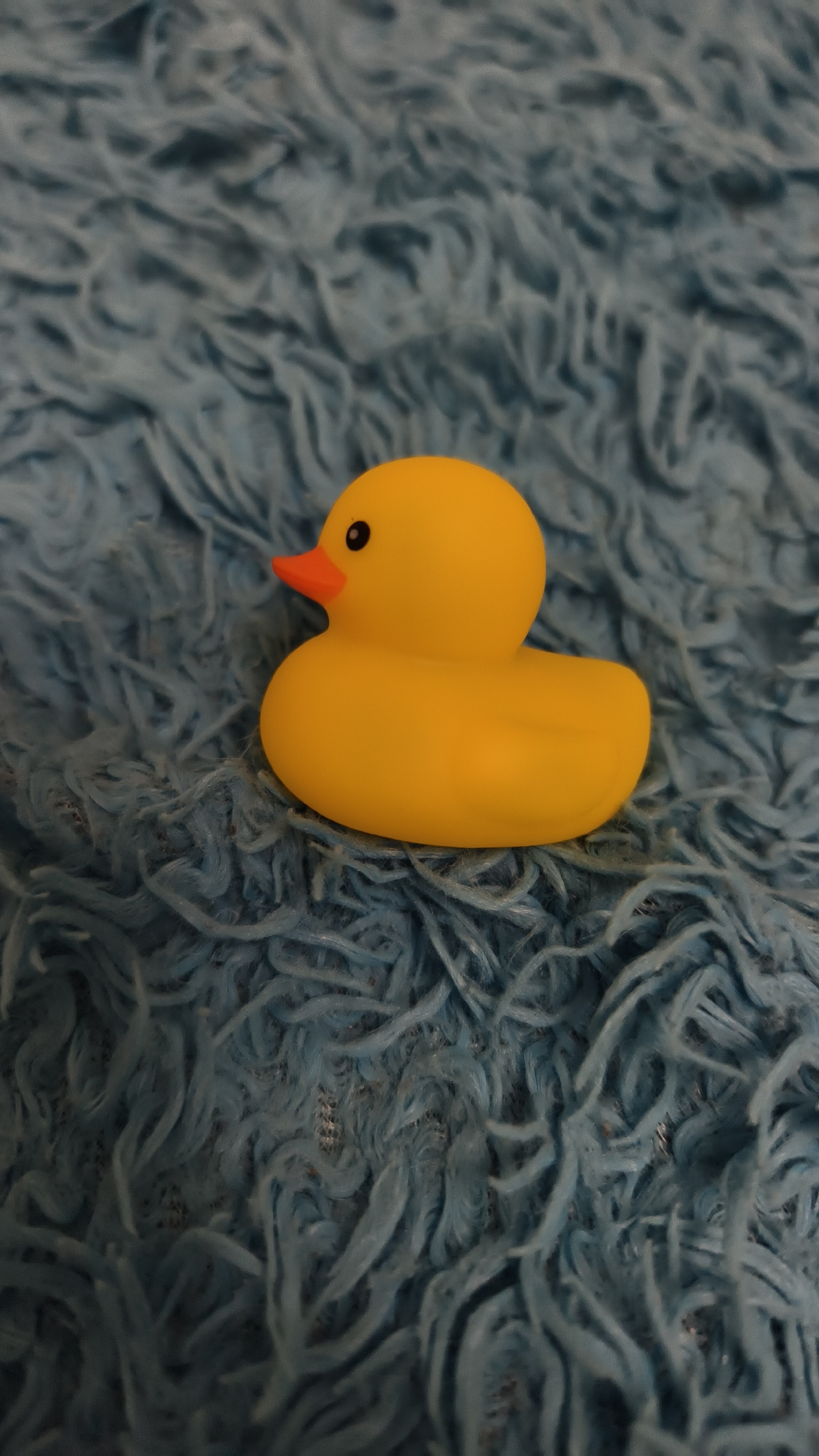 A close-up, high-angle shot features a yellow rubber duck sitting on a textured blue surface that appears to be a fuzzy rug or blanket. The duck is positioned in the right-center of the frame, facing left. Its orange beak and black eye are clearly visible. The background is entirely composed of the blue textured material, which has a shaggy, uneven appearance. The lighting appears to be artificial, casting soft shadows. There are no people, actions, or interactions depicted in the image. The image does not provide any information about its location in Minsk, Belarus.