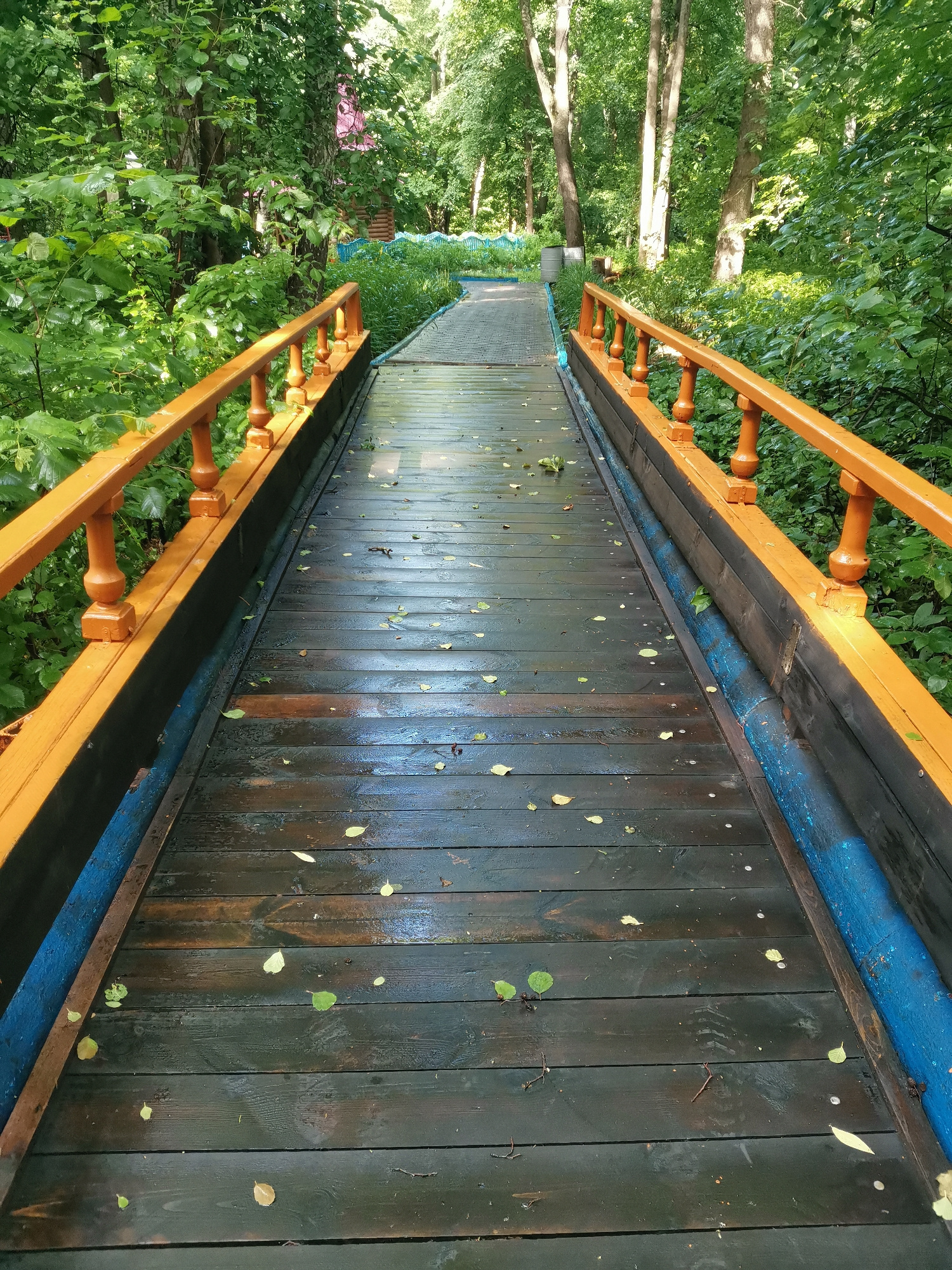 A wooden boardwalk, painted dark brown and accented with bright orange railings, leads the viewer into a lush green forest. The boardwalk is wet, with fallen leaves scattered across its surface, suggesting recent rain or damp conditions. The trees surrounding the path are dense and verdant, with sunlight filtering through the canopy, creating dappled patterns on the ground. The scene has a tranquil and natural feel, as if one is about to embark on a peaceful walk through a wooded area. The time of day appears to be daytime, with ample natural light. There is no visible text in the image.