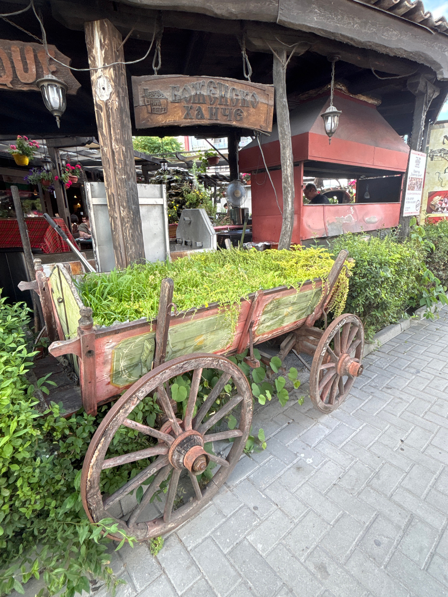 An old wooden cart, filled with lush green plants, is parked on a paved walkway in front of a rustic building. The cart has weathered red and green paint and large wooden wheels. Behind the cart, the building features a thatched roof, exposed wooden beams, and a red structure that appears to be an outdoor kitchen or grill area, with a person visible inside. Hanging lanterns and wooden signs with Cyrillic script are attached to the building's facade. The area is surrounded by dense green foliage and flowering plants. This scene is located in the Old Town of Nesebar, Bulgaria, a historic coastal city.