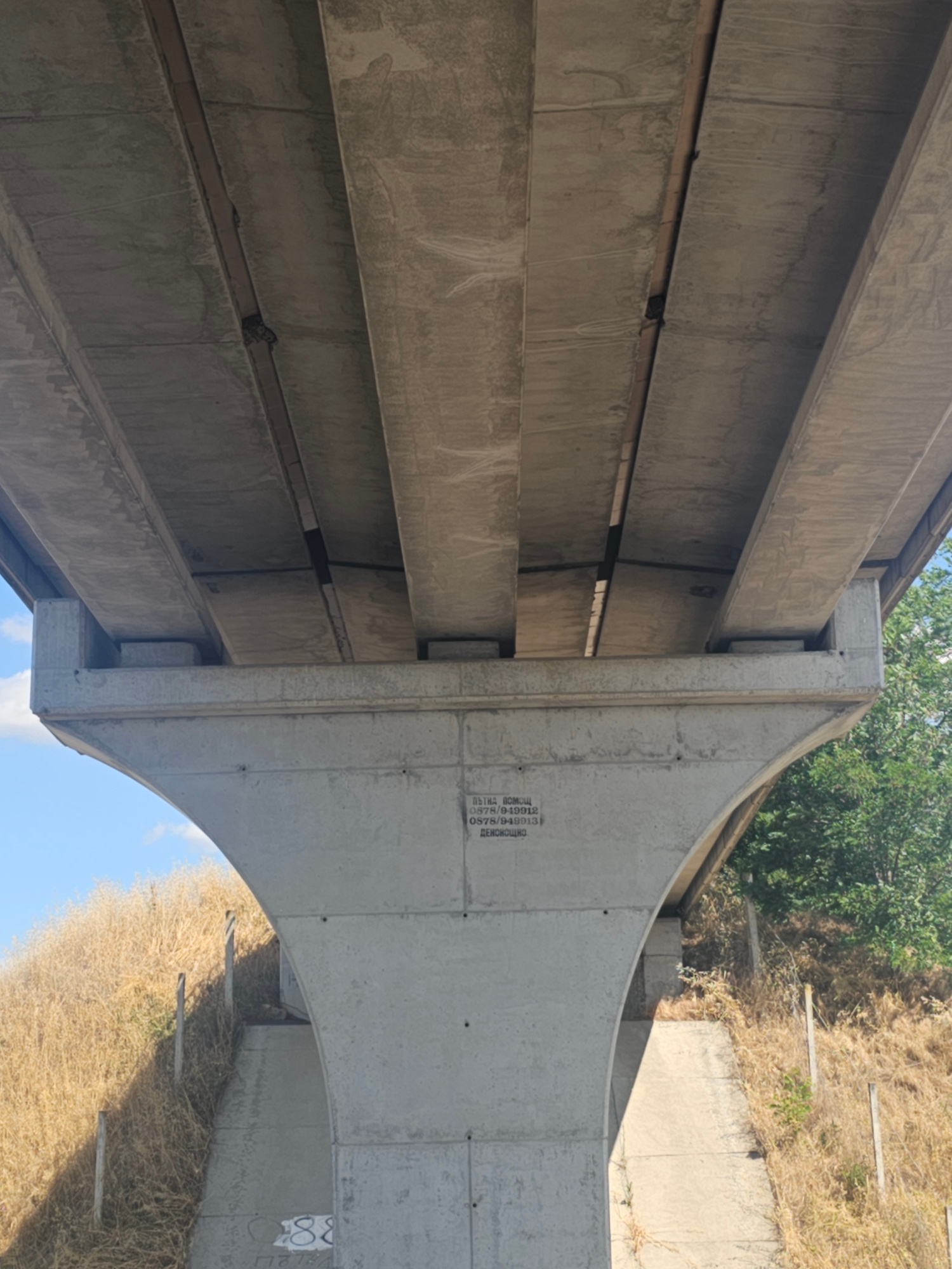 The image shows the underside of a concrete bridge structure. Multiple parallel concrete beams are visible, running horizontally and supported by vertical concrete elements. The beams appear to be stained and weathered, with some streaks and discoloration.
On the right side of the image, a large, curved concrete structure forms an arch. This structure has some faint markings and text on its surface. The text appears to be in Cyrillic script and includes numbers such as "0578/94912" and "0578/94913". Below this, some text is barely legible but seems to be "ДЕИСТЬОШЖО". Further to the right, a circled "88" is visible.
The setting appears to be outdoors, with a dry, grassy embankment visible behind the concrete structures. Some vegetation, including green trees and dry grass, is present on the embankment. The sky is visible in the lower right corner, suggesting it is daytime and the weather is clear. The lighting indicates the sun is shining, casting shadows from the bridge elements. There are no people or animals visible in the image. The scene conveys a sense of infrastructure and the natural environment. The presence of construction markings suggests ongoing or past work on the bridge.