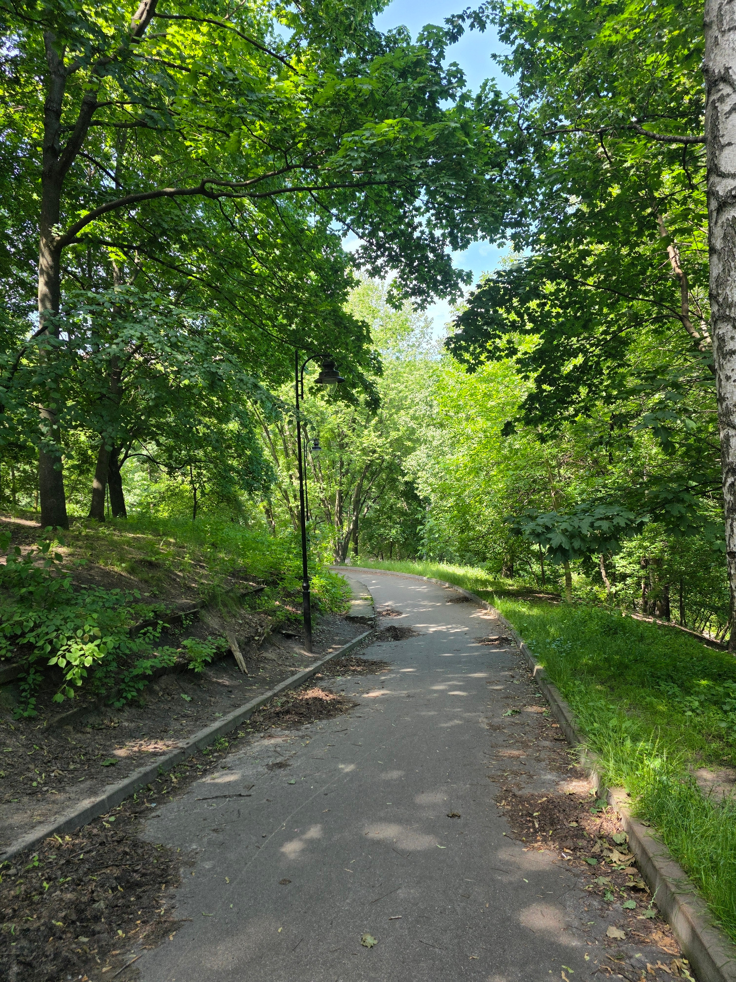 A paved path winds through a densely wooded park. The path has some visible wear and tear, with small patches of damage and scattered debris such as leaves and soil along its edges. The path is lined with concrete curbs and grass. On the left side of the path, a grassy slope is covered with greenery and some exposed soil. On the right side, the path curves into the distance, surrounded by trees. A lamppost with a traditional lantern stands on the left side of the path. The trees are lush and green, indicating a warm season, with sunlight filtering through the leaves, creating dappled shadows on the path. The overall scene suggests a public park in a city, likely used for recreation. This image was taken in Kyiv, Ukraine.