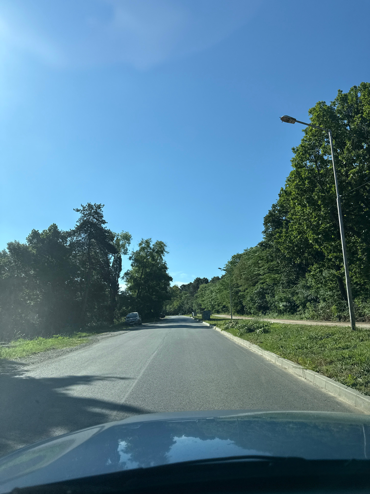 A vertical, medium shot captures a clear blue sky above a sun-drenched, tree-lined road. The perspective is from inside a vehicle, looking forward. The road ahead curves slightly to the left, flanked by lush green trees and vegetation. A single grey car is parked on the right side of the road, partially obscured by trees, and further down the road a pedestrian crossing sign is visible. Two streetlights stand tall along the right side of the road, one closer to the foreground and another further in the distance. The hood of the vehicle from which the photo is taken is visible at the bottom of the frame, reflecting the sky and trees. The scene appears to be a road leading into a wooded area, possibly on the outskirts of Tsarevo, Bulgaria, judging by the presence of streetlights and the natural environment.