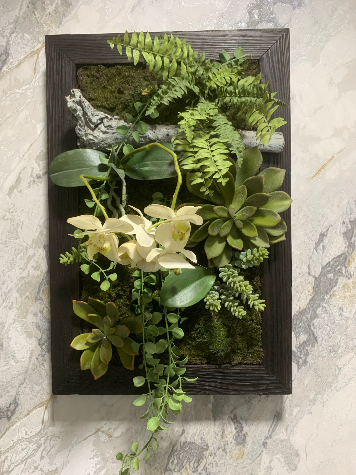 A framed artificial plant arrangement is displayed on a marble-patterned wall. The arrangement features a dark wooden frame containing various artificial plants including ferns, succulents, orchids, and moss. A piece of grey, textured driftwood is also incorporated into the arrangement. The wall behind the arrangement has a marbled texture with grey, white, and gold veining. The scene is a still life composition. This scene is located in Baku City, Azerbaijan.
