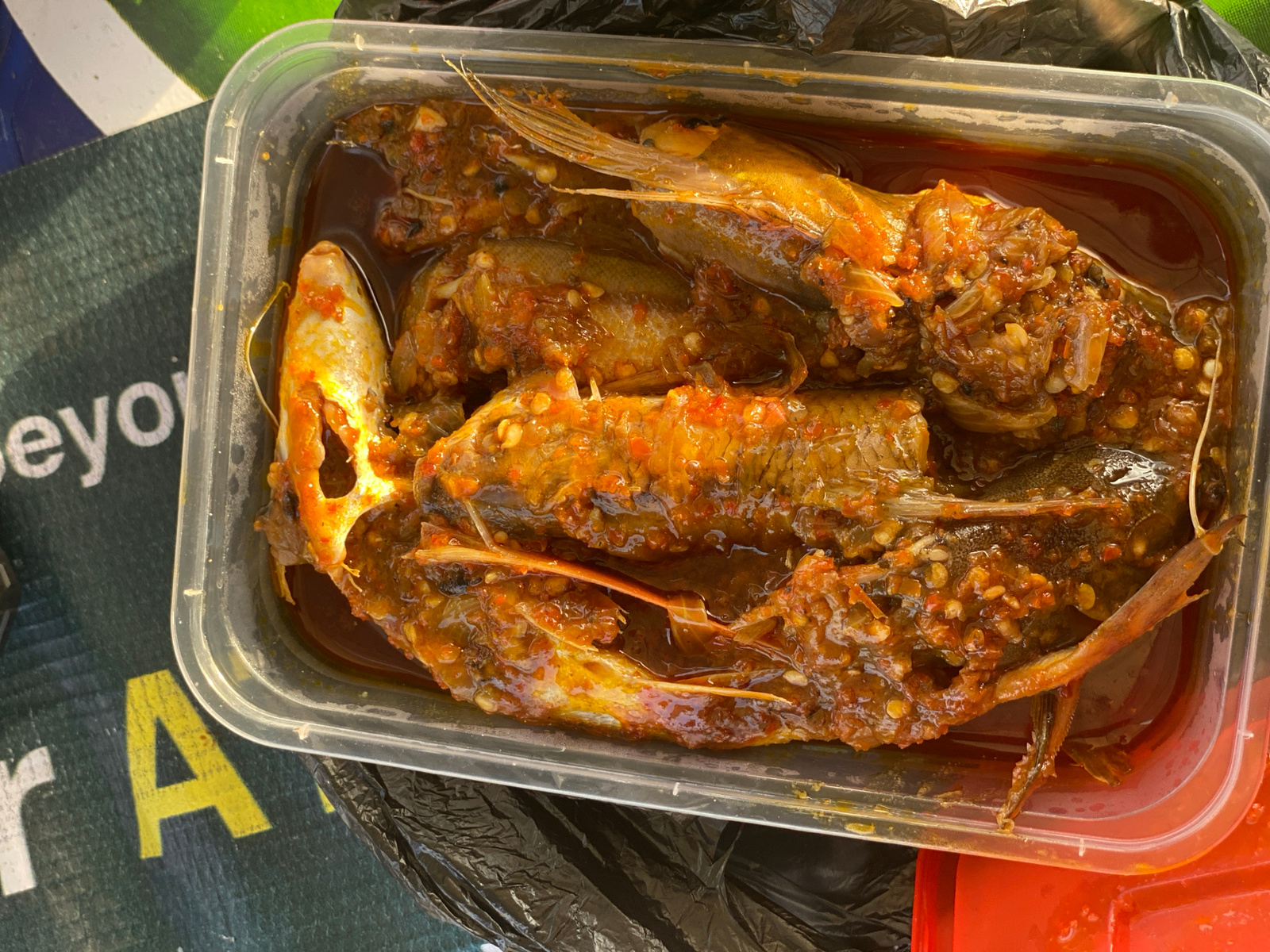 A rectangular clear plastic container holds several small, whole fish cooked in a spicy, reddish-brown sauce. The fish appear to be whole, with heads and tails intact, and are covered in finely chopped ingredients mixed with the sauce. The container is placed on a dark green surface with white and yellow lettering, and parts of a black plastic bag and a red object are visible in the background. The scene is outdoors, likely in Jalingo, Nigeria, given the context. The lighting suggests it is daytime, possibly sunny.