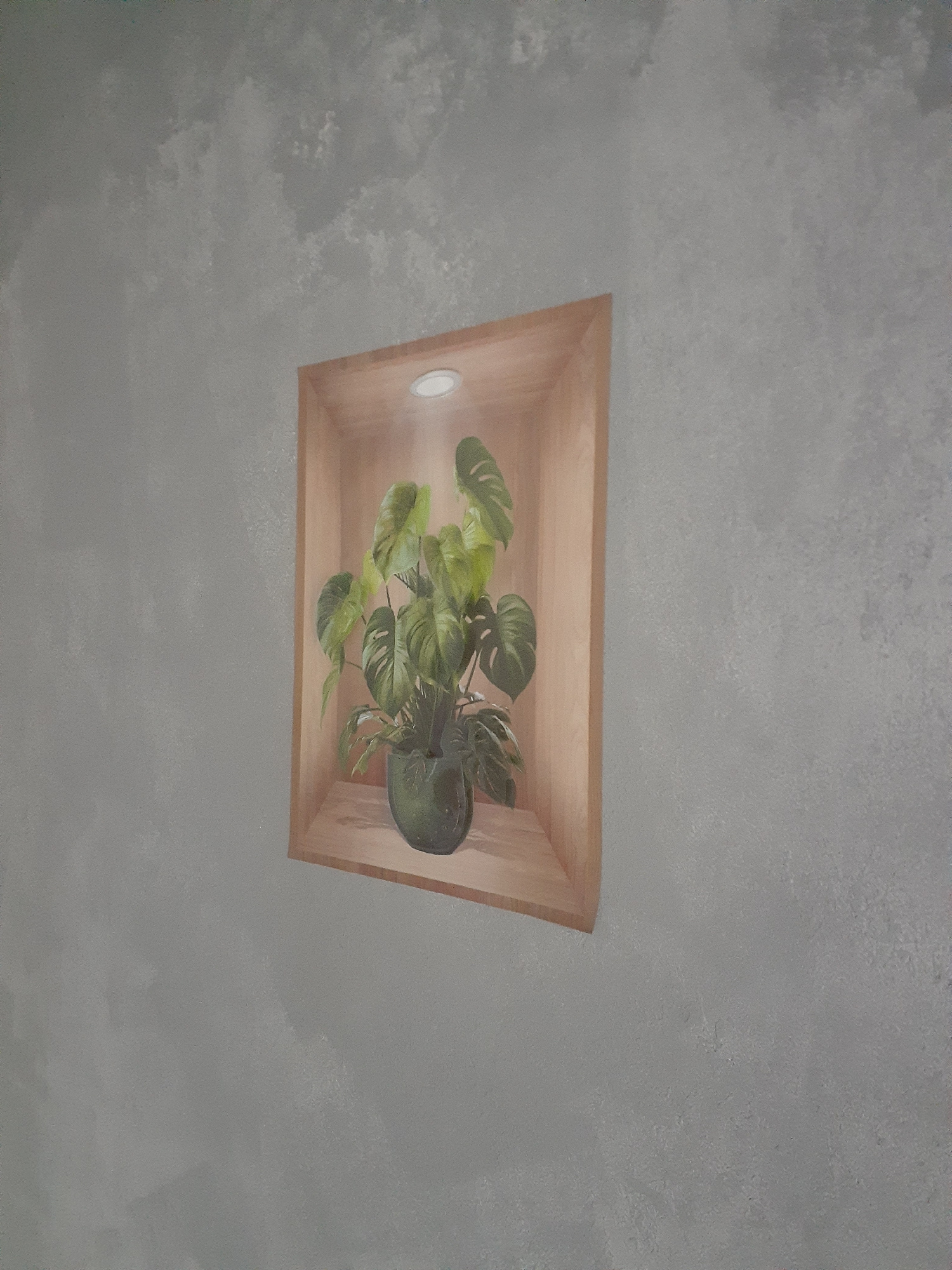 The image displays a recessed ceiling planter box containing a lush green Monstera plant. The planter is constructed from light-colored wood and is lit by a circular spotlight integrated into its ceiling. The surrounding ceiling is a textured, light gray, creating a minimalist and modern aesthetic. The perspective is from directly above the planter, looking down into it. The overall lighting suggests an indoor setting, likely a contemporary home or office space. There are no people visible in the image. The scene is static, focusing solely on the plant and its architectural housing. The time of day and weather conditions are not discernible. No text is present in the image. The location context of Bălți, Moldova, provides geographical information but does not offer specific visual cues within the image itself.
