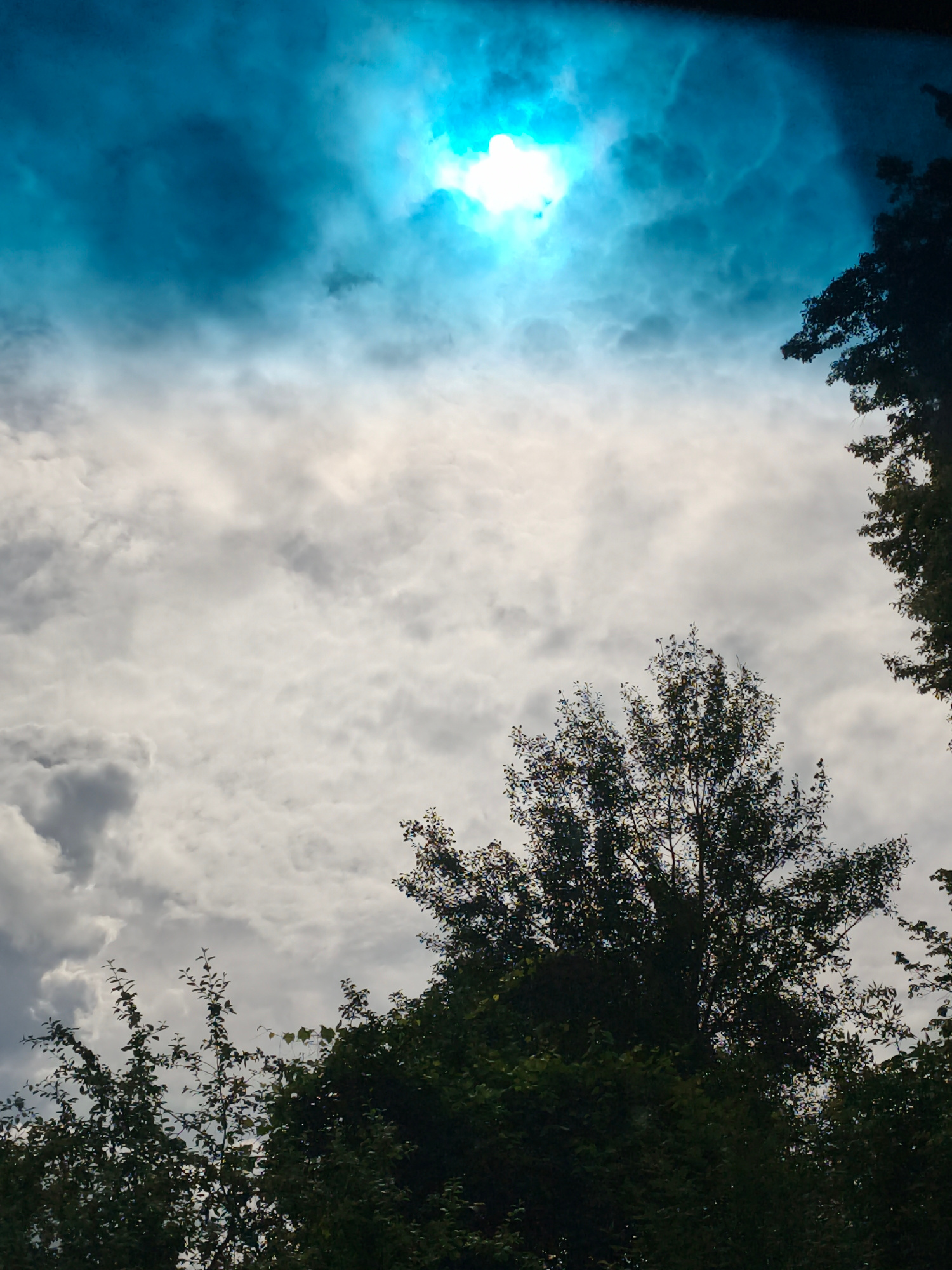The image shows a bright, sunlit sky with heavy clouds, viewed from below through the canopies of trees. The sun is a bright white spot near the top center, partially obscured by a layer of light, textured clouds that have a bluish-green hue. The clouds are dense and appear to be moving or swirling. The lower portion of the image is dominated by the dark green foliage of trees. One large tree with a full canopy is in the center-right, and other trees with sparser branches and leaves are visible on the left and right edges. The lighting suggests it is daytime, with the sun's light filtering through the clouds and illuminating the sky. The scene appears to be outdoors, possibly in a park or natural setting within a city. No people or specific Moscow landmarks are visible.