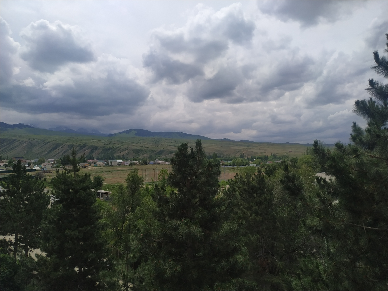 The image depicts a landscape view from an elevated position, overlooking a village and surrounding hills under a cloudy sky. In the foreground, several coniferous trees, likely pines, are prominently featured, with their dark green foliage dominating the lower part of the frame.
Beyond the trees, a village is visible, characterized by scattered houses with various colored roofs, some appearing to be single-story structures with a few multi-story buildings mixed in. Agricultural fields, primarily green and brown, surround the village, suggesting a rural or semi-rural setting.
In the background, rolling hills form a natural barrier, with their slopes showing patterns of vegetation and possibly erosion or terracing. The distant mountains are shrouded in haze and muted green tones. The sky is filled with a dramatic arrangement of dark, heavy clouds, indicating overcast or potentially stormy weather.
The scene appears to be located in or near Karakol City, Kyrgyzstan, given the characteristic hilly terrain and the architectural style of the village houses. The overall impression is one of natural beauty combined with a settled human presence in a somewhat remote area. There are no people or animals visible in the image. The lighting is diffused due to the cloud cover, creating soft shadows and a somewhat somber mood.