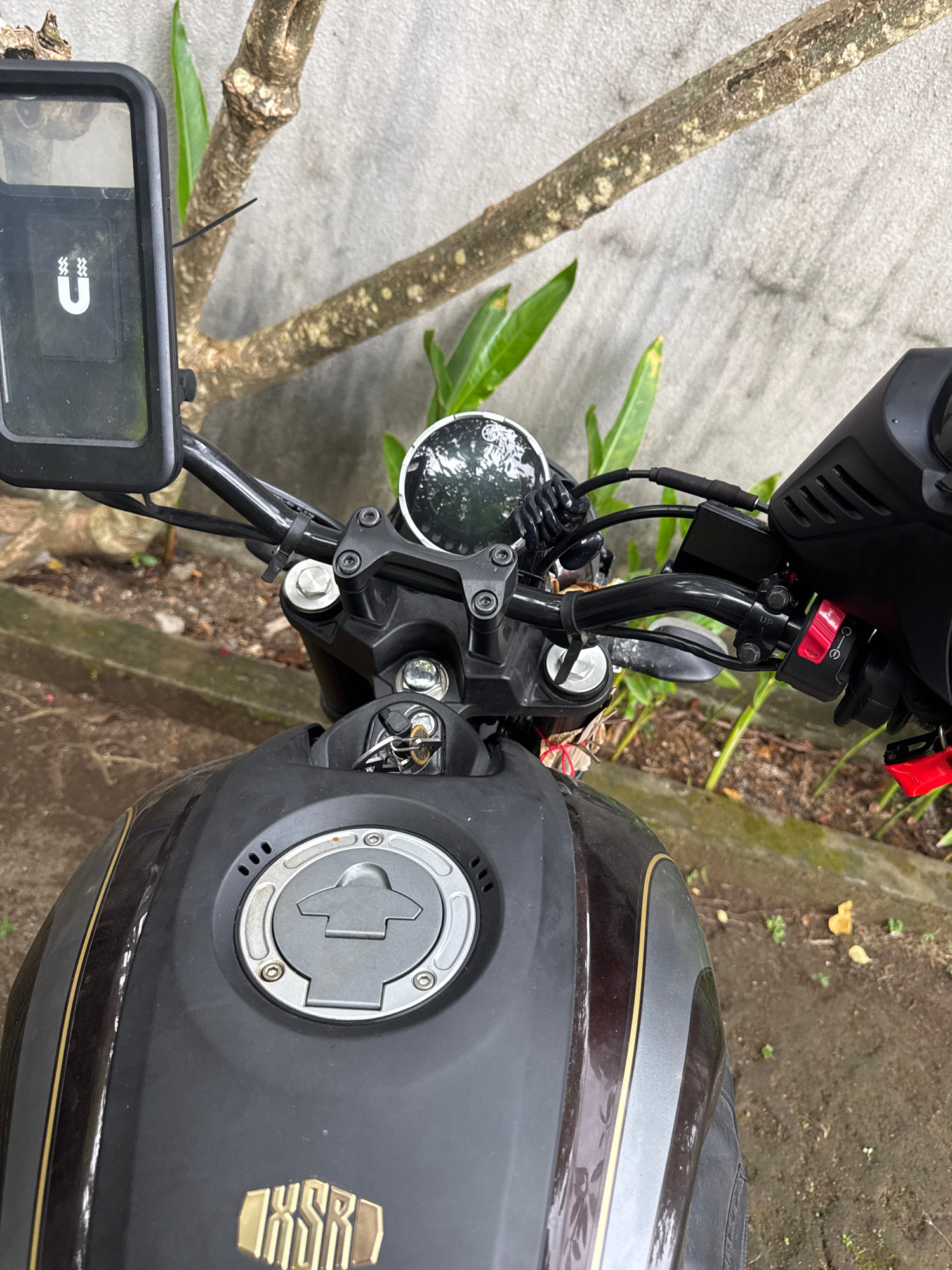 An overhead, slightly angled medium shot captures the handlebars and upper portion of a dark brown and gold motorcycle parked outdoors in Kuta, Indonesia. The motorcycle's fuel tank, adorned with a silver cap featuring a stylized emblem, occupies the foreground. To the left, a black phone holder with a white "U" symbol is mounted on the handlebars. The handlebars themselves are black, with various controls, including a red switch, visible. In the background, a textured grey wall serves as a backdrop, with the branches of a tree and green foliage interspersed. The ground appears to be dirt and gravel, with some scattered leaves and small plants. No people are present in the image.