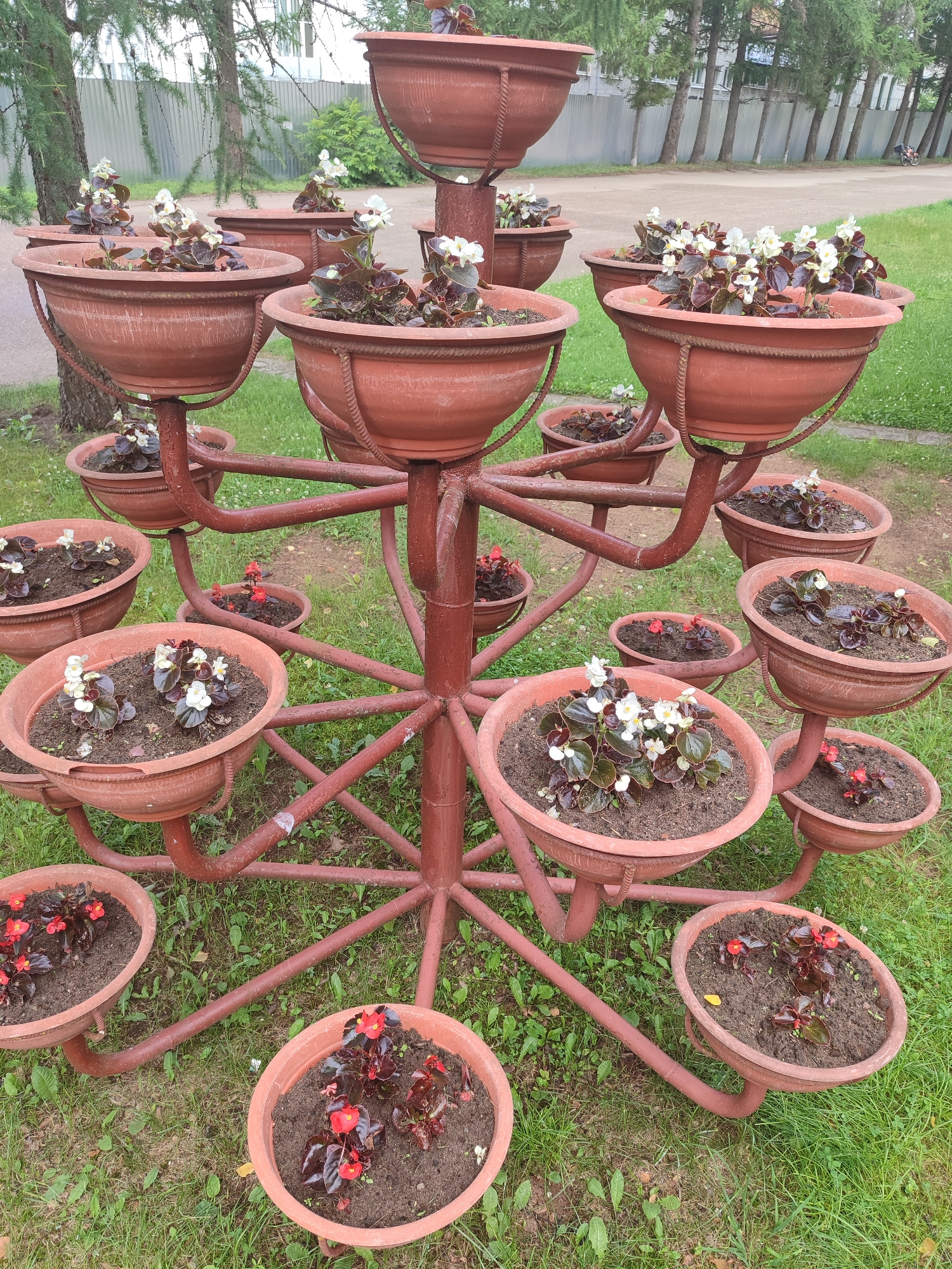 The image shows a multi-tiered floral display structure with numerous potted plants. The structure is made of red metal tubing and holds terracotta-colored pots of varying sizes, arranged in a radial pattern on several levels. Many of the pots contain begonia plants with dark green or reddish-brown leaves and small white or red flowers. The display is set outdoors on a grassy area, with trees and a fence visible in the background. The scene is well-lit, suggesting it is daytime. There are no people or animals present in the image. The environment appears to be a park or public garden.