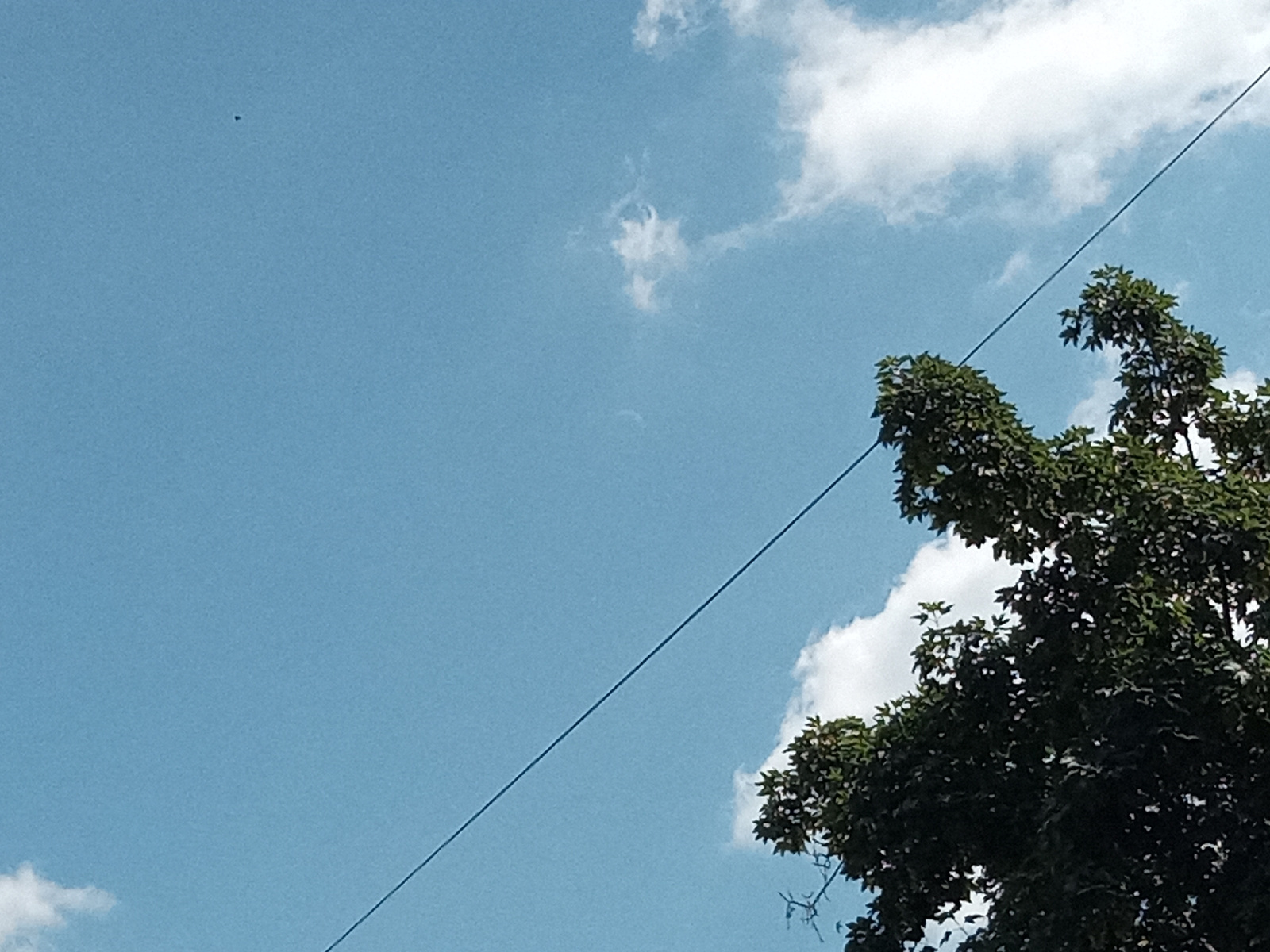 The image captures a bright, clear sky with a few scattered white clouds, typical of a daytime scene. A dark, thin power line diagonally bisects the frame from the upper right to the lower left. On the right side of the image, the dense green foliage of a tree is visible, its branches reaching towards the sky. In the upper left quadrant of the sky, a small, dark speck is present, possibly a bird or an insect in flight. The overall impression is one of a serene, outdoor environment, likely on the outskirts of an urban area, given the presence of the power line and the cultivated appearance of the tree. The scene does not depict any specific landmarks or architectural features that would definitively place it within Chișinău, Moldova, however, it is consistent with numerous residential or park areas within the city where such elements are common.