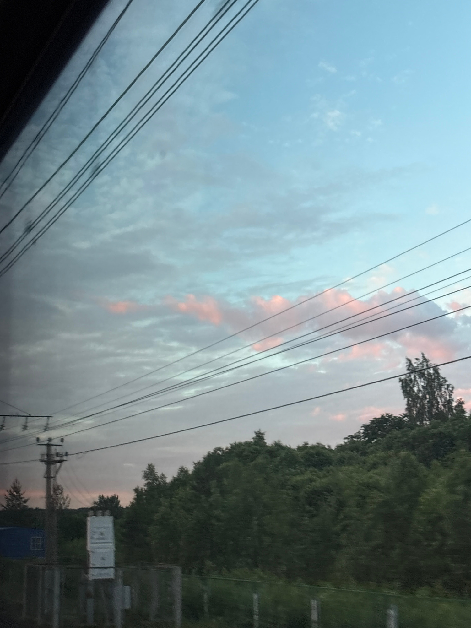 The image captures a view from a moving vehicle, likely a train, looking out at a rural landscape under a twilight sky. In the foreground, several black power lines stretch diagonally across the frame, obscuring parts of the sky and landscape. A dark, blurred area on the left suggests the interior of the vehicle.
The sky is a pale blue, with wispy, light gray clouds interspersed with streaks of soft pink, indicating either sunrise or sunset. A distinct cluster of pink clouds is visible in the upper right portion of the sky.
Below the sky and power lines, a dense line of dark green trees forms a natural barrier across the middle ground. The trees are varied in height and texture, suggesting a mixed forest or a line of dense foliage. Silhouetted against the sky and trees are a few taller, sparser trees, including one with a distinctive branching pattern in the upper right.
In the lower left of the image, a blue building with a window is partially visible behind the power lines and trees. To the right of the building, a tall, dark utility pole with crossbars stands prominently, supporting more power lines. Adjacent to the utility pole is a white rectangular structure, possibly a sign or a piece of equipment, mounted on a grey concrete base. The very bottom of the image shows hints of a fence and more greenery, further suggesting a roadside or rail-side setting.
The overall impression is one of a tranquil, perhaps slightly melancholic, twilight scene in a rural or semi-rural setting. The location in the city of Торбино, Russia, is noted, implying this scene is representative of the outskirts or countryside surrounding that area.