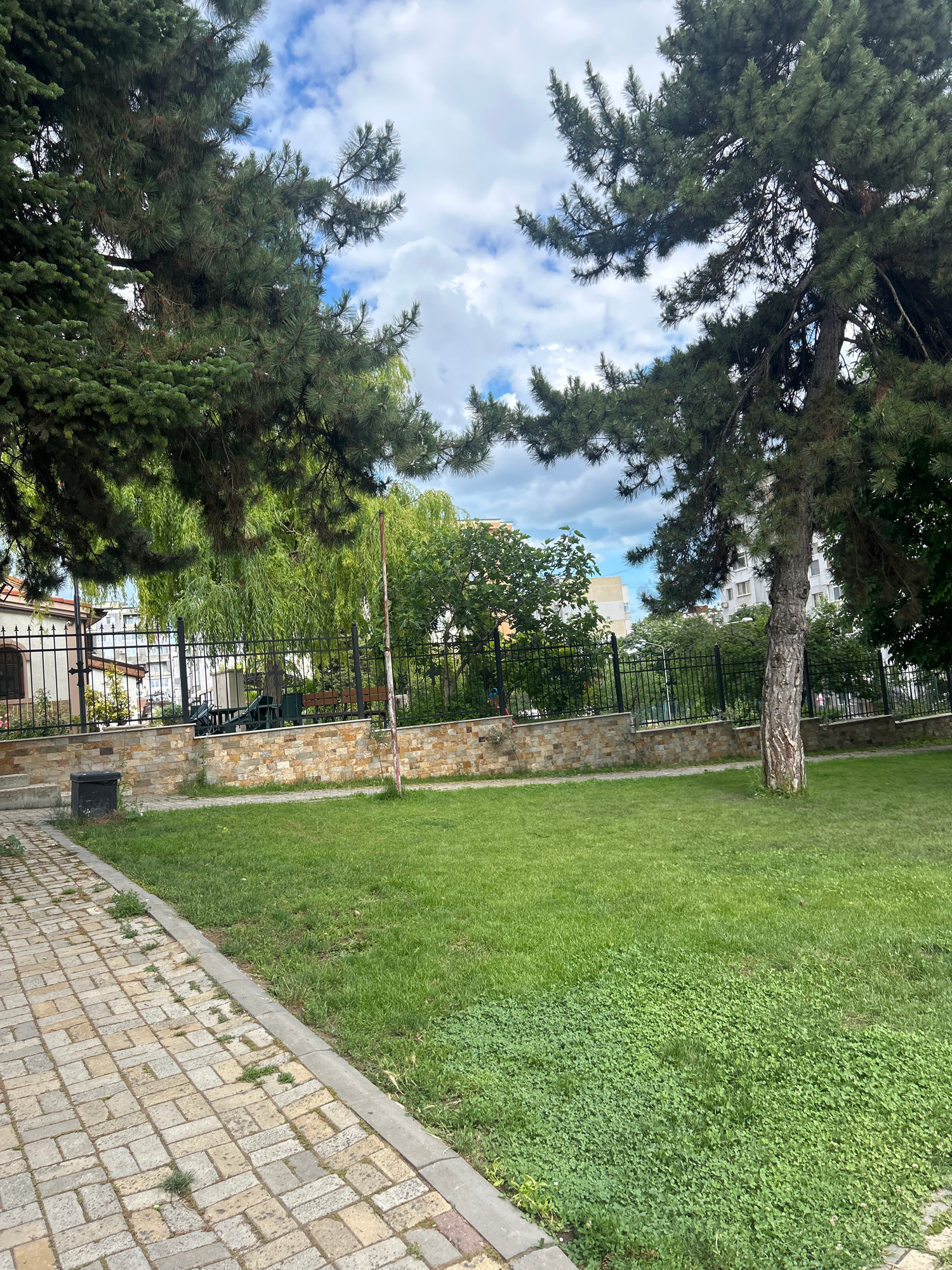 A paved walkway made of light brown and beige rectangular stones runs along the left side of the image. The walkway is bordered by a strip of grass and then a larger expanse of green lawn. A low wall made of stacked, irregular beige and brown stones separates the lawn from an area behind it. A black trash receptacle stands next to the walkway. Behind the stone wall is a black metal fence. Through the fence, a building with a white facade, brown window frames, and a tiled roof is visible on the left. A weeping willow tree with light green foliage stands behind the fence, and several other green trees are also visible. In the background, to the right, are tall, multi-story buildings with white facades and visible windows. Two large pine trees dominate the foreground on the left and right, their branches and needles obscuring parts of the sky and the background. The sky above is blue with scattered white clouds. The image appears to have been taken in an urban park or residential area in Varna, Bulgaria.