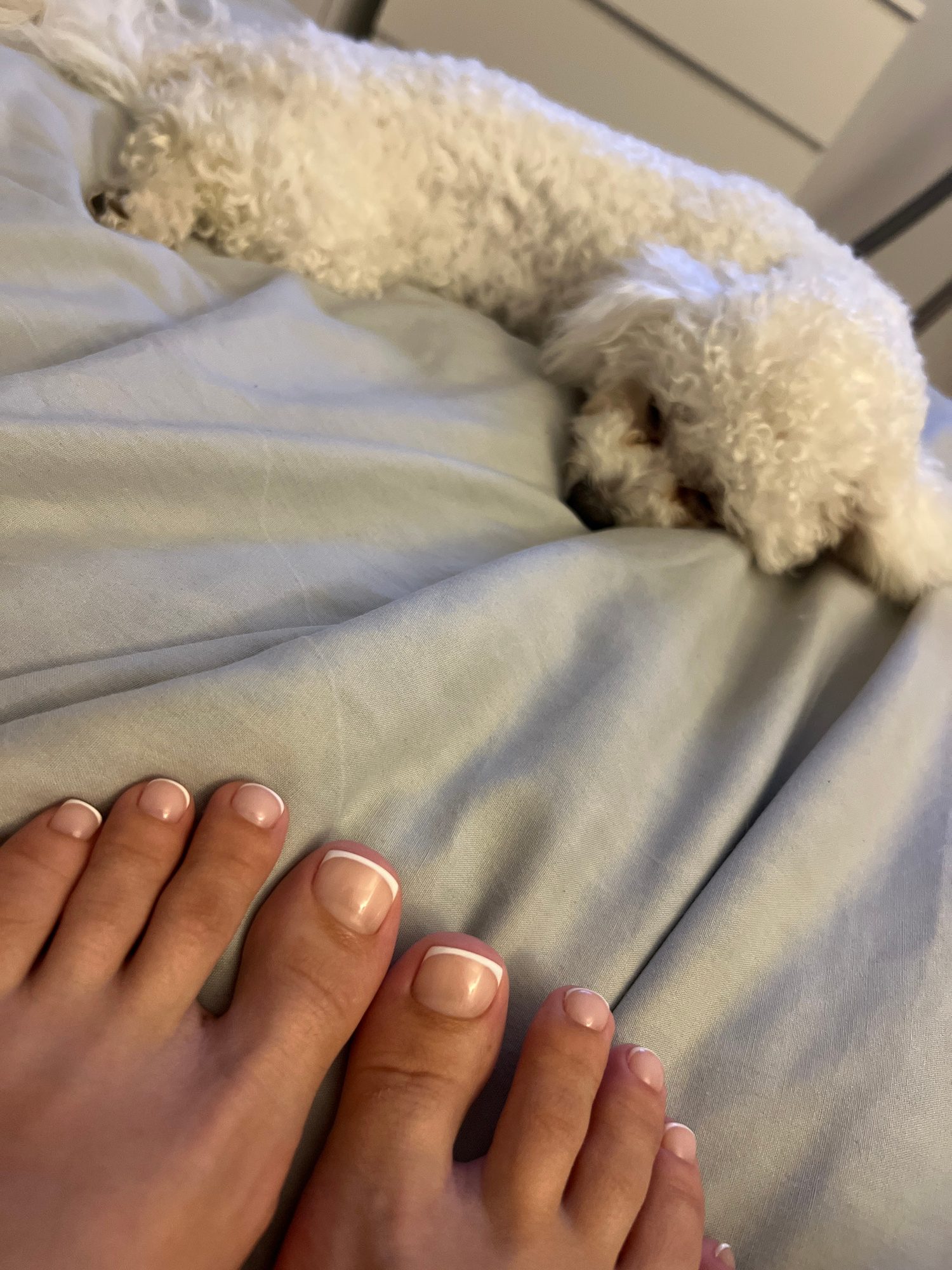 A small, white, curly-haired dog is sleeping on a light blue, rumpled bed sheet. The dog is lying on its side, with its head resting on the sheet. The dog's eyes are closed, and its fur is fluffy and appears soft. In the foreground, a pair of human feet with a french manicure are visible, resting on the same bed sheet. The toes are positioned close together, and the nails are neatly filed with a white tip. The background shows a hint of a striped wall, suggesting an indoor setting. The lighting is soft and natural, creating a cozy and relaxed atmosphere. The scene appears to be indoors, in a bedroom.
