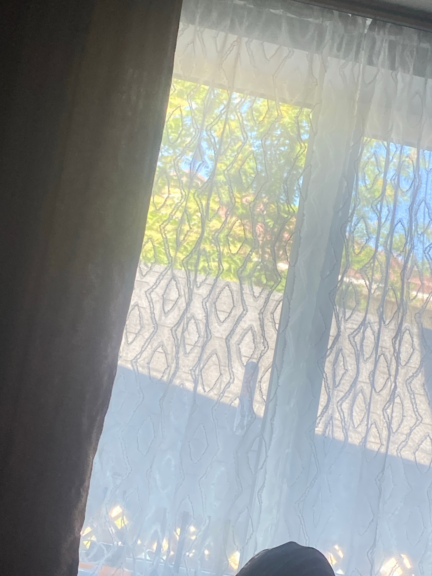 The image depicts a window with sheer, patterned curtains, allowing sunlight to filter through and illuminate the room. Outside, trees with green foliage and a blue sky are visible. The scene appears to be a residential interior, with a dark curtain to the left of the window, partially obscuring the view. The overall impression is one of a bright, sunlit day. The location in the city of Khoroshiv, Ukraine, is not explicitly indicated by any visual cues in the image. There are no people, actions, or interactions clearly visible, nor are there any specific objects that definitively place the scene in Khoroshiv.