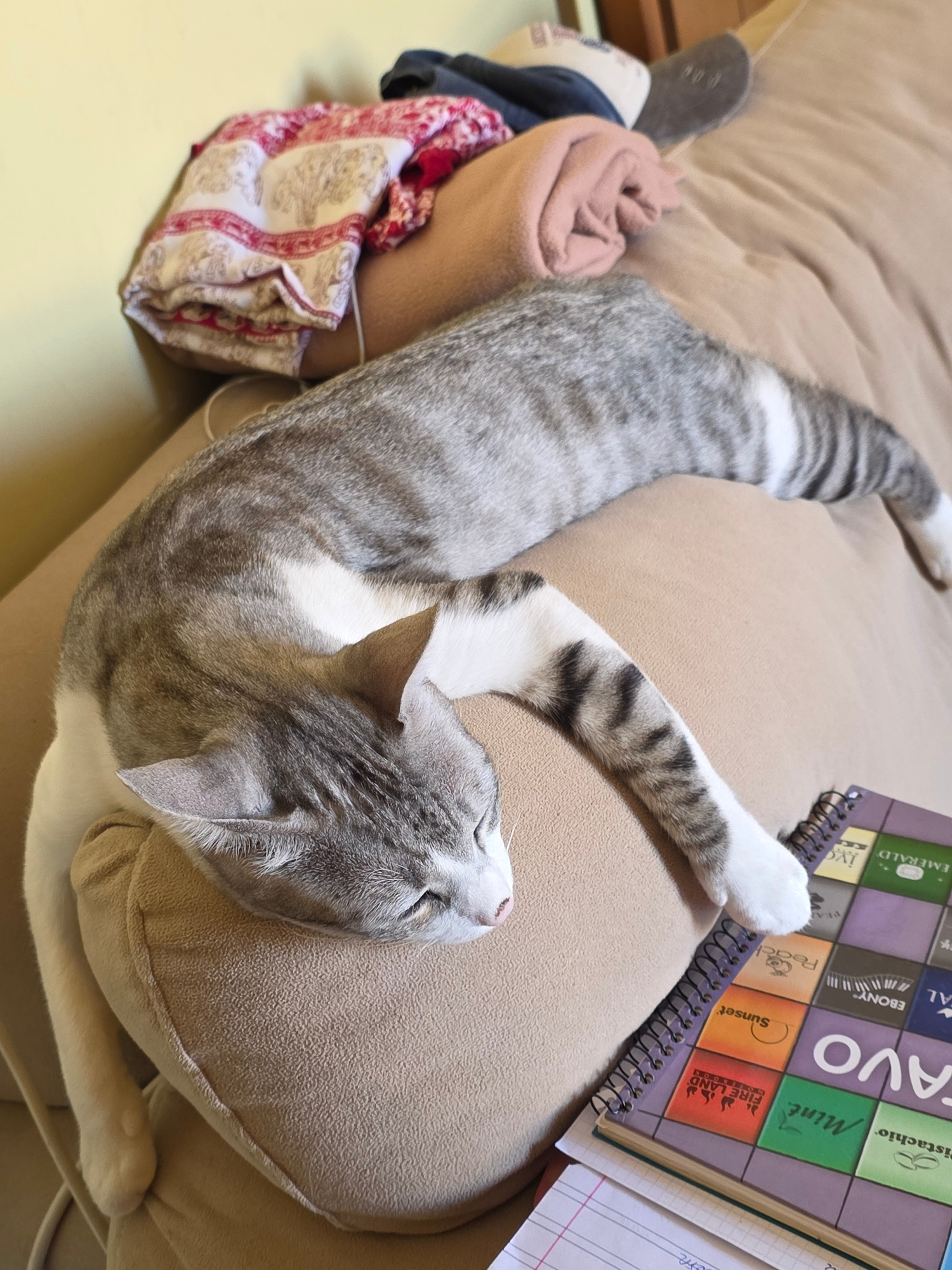A tabby cat with grey and white stripes is sleeping stretched out on a beige sofa. The cat's head rests on a pillow on the sofa. To the left of the cat, on the sofa, are folded blankets with a red and white pattern. To the right of the cat, a spiral-bound notebook is visible, with colorful squares containing text and images on its cover. The background is a light-colored wall. This scene is located in the city of Al Hadaba, Egypt.