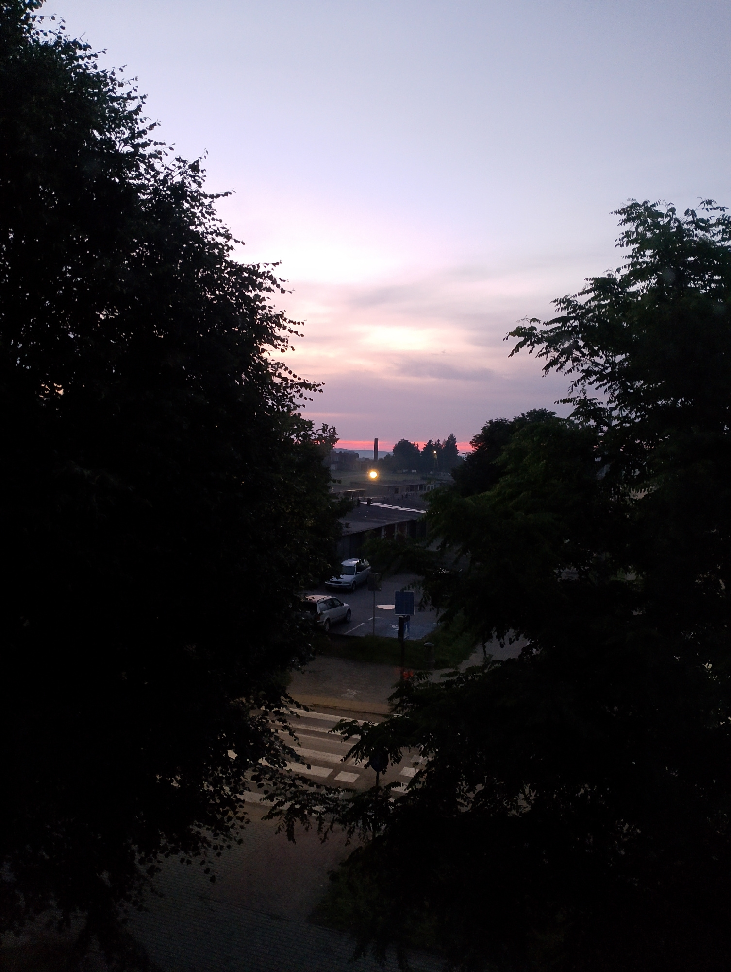 An elevated, horizontal, eye-level, full shot captures the twilight sky and a street scene in an unknown city. The sky is a gradient of pale pink and lavender, with the sun near the horizon, casting a soft glow. In the foreground, dark silhouettes of trees frame the scene on both the left and right sides. Below the trees, a paved road is visible with a crosswalk. Parked cars, including a silver sedan and a white car, are on the right side of the road. Buildings and streetlights are visible in the background, with a distant smokestack. The overall lighting is dim, characteristic of dusk.