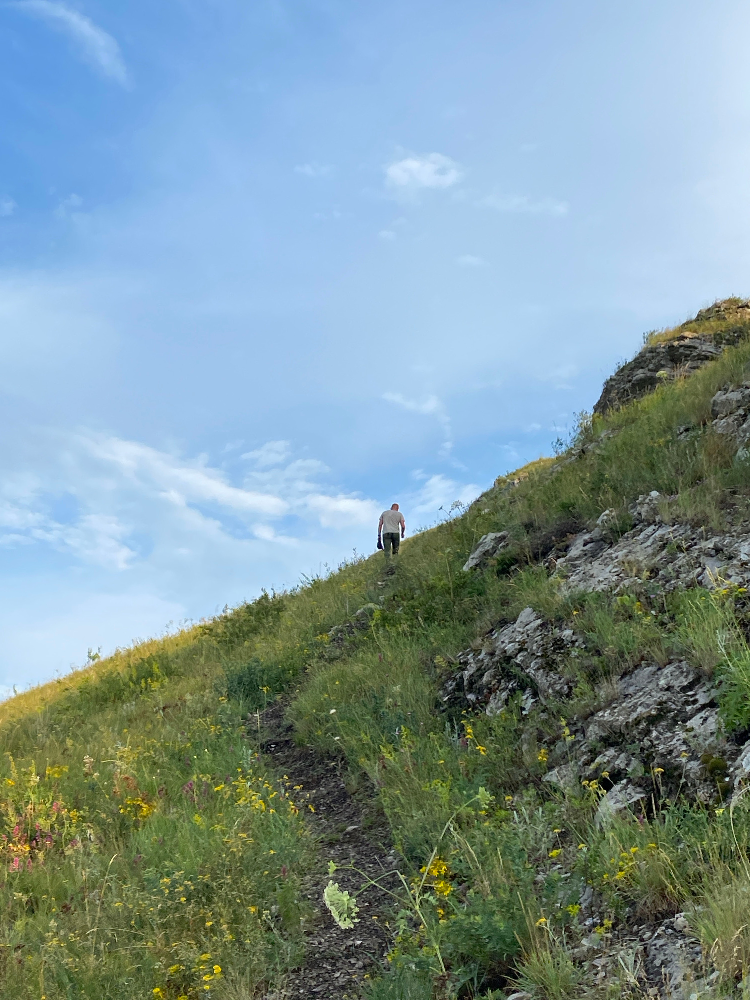 The image depicts a person walking up a steep, grassy hillside on a clear day. The sky is a bright blue with a few wispy white clouds. The hillside is covered in green grass and various wildflowers in yellow and pink hues. Rocky outcrops are visible along the slope. The person, wearing a light-colored t-shirt and dark pants, is walking away from the camera, ascending the path. The scene appears to be an outdoor natural landscape.
