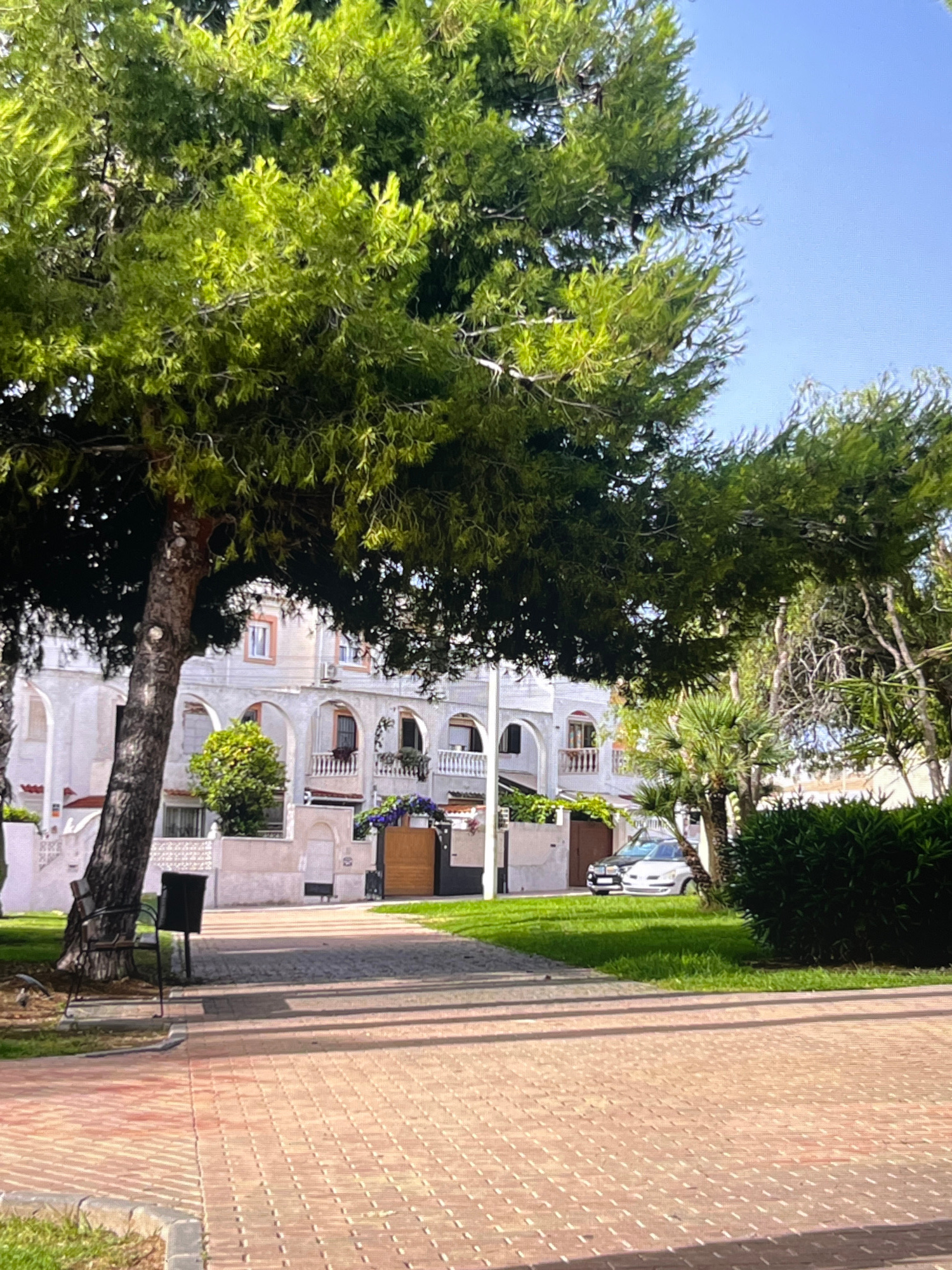 The image shows a tree in the foreground casting shadows on a brick pathway in the city of Torrevieja, Spain. Behind the tree is a building with white arched balconies and windows. A dark-colored trash can and a bench are visible next to the tree. Green grass borders the pathway, and a white car is parked on the street in front of the building. A hedge is to the right of the car. The sky is clear and blue.