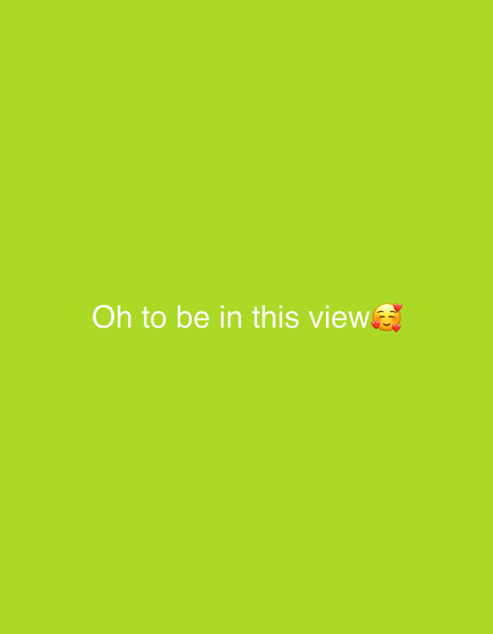The image displays text on a solid lime green background. The text reads "Oh to be in this view" followed by a blushing face emoji with hearts. The text is centered horizontally and appears in the lower portion of the image. There is no discernible connection to Jalingo, Nigeria, or any specific location within a city. The scene is entirely digital or a manufactured image with no real-world elements present.