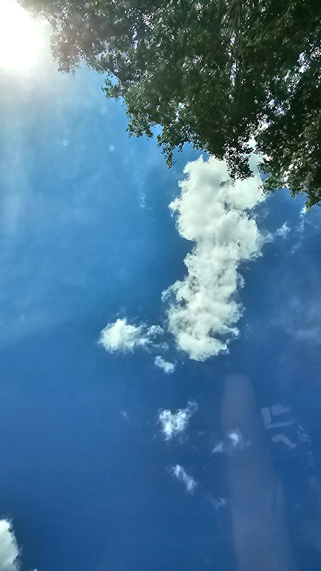 A low-angle shot captures a clear blue sky with scattered white clouds. A sunburst radiates from the upper left corner, partially obscured by the dark green foliage of a tree branch that dominates the top of the frame. The clouds are wispy and varied in size, with one prominent, elongated cloud formation in the center of the image. The lower portion of the frame shows a faint, ghostly reflection of what appears to be a person holding a phone or camera, with a partial image of their face and a logo visible on their sleeve. The scene is likely outdoors in a park or natural setting within Yekaterinburg, Russia, given the clear sky and presence of trees, suggesting a daytime setting.
