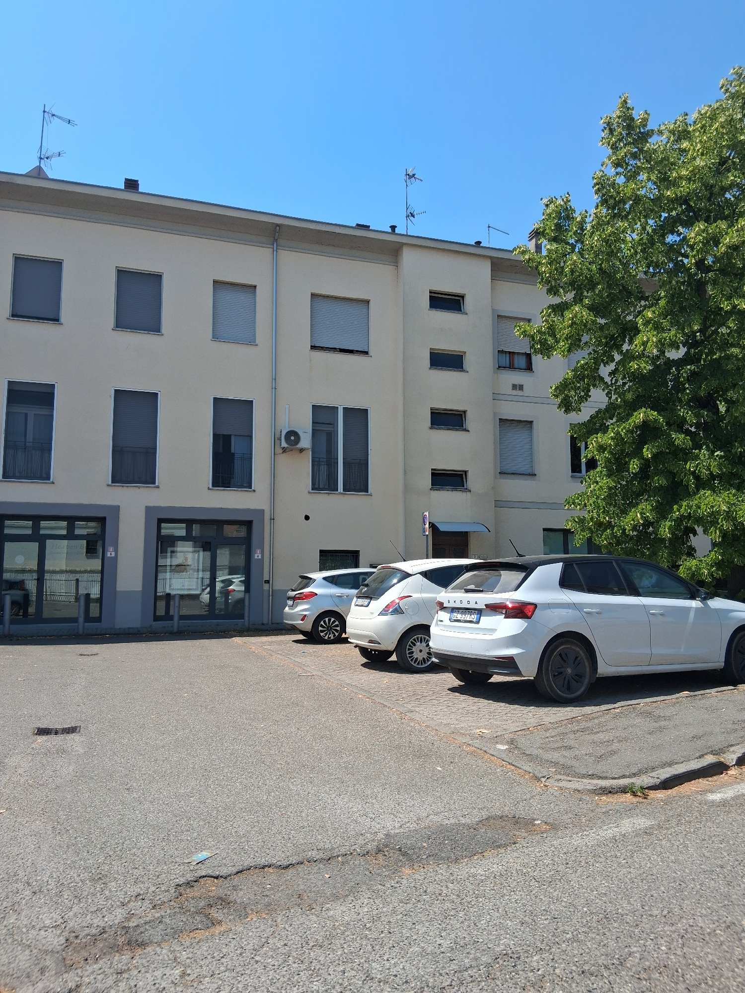 A light-colored building with multiple windows and closed roller shutters stands under a clear blue sky. Three white cars are parked in front of the building on an asphalt surface. The building appears to be commercial, with two storefronts visible on the ground floor. A large, green tree is situated to the right of the building. The scene is located in Colorno, Italy, and the overall environment suggests a daytime setting on a sunny day.