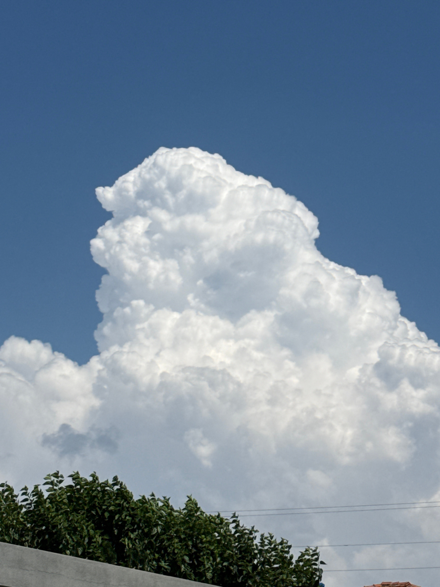 This media file features a sky scene dominated by a large, fluffy white cloud formation against a clear blue sky. A portion of a dark green tree and a light gray concrete structure are visible on the right side of the frame. Several thin, dark lines, possibly power lines, are also present, stretching across the sky. The cloud's texture is detailed, with distinct puffy shapes and shadowed crevices, suggesting a dynamic and possibly humid atmosphere. The blue sky indicates daytime, and the bright white of the clouds suggests a sunny day. The presence of the tree and concrete structure could imply an outdoor setting in an urban or semi-urban area. The overall impression is one of natural beauty, with the grand scale of the cloud contrasting with the man-made elements. The image appears to have been taken looking upwards.