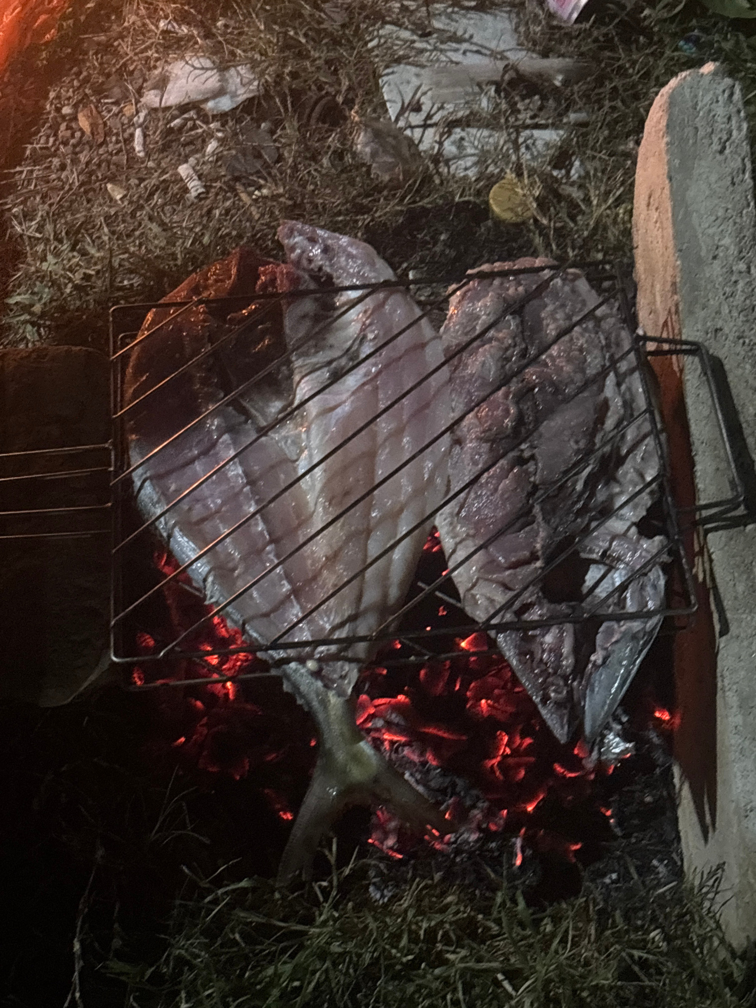 The image depicts two split fish being grilled over glowing red coals. The fish are laid out on a metal grill rack, with one fish appearing lighter in color than the other. The grill is positioned outdoors, on a grassy area littered with dry leaves, twigs, and some debris, including what appears to be cigarette butts and possibly plastic waste. In the background, a rough concrete structure is visible to the right, and the scene is illuminated by the warm glow of the fire and possibly artificial light, suggesting it might be nighttime. The overall setting appears to be a casual, outdoor cooking or gathering event. Based on the provided context, this scene is located in the city of Lhokseumawe, Indonesia. There are no people visible in the image.