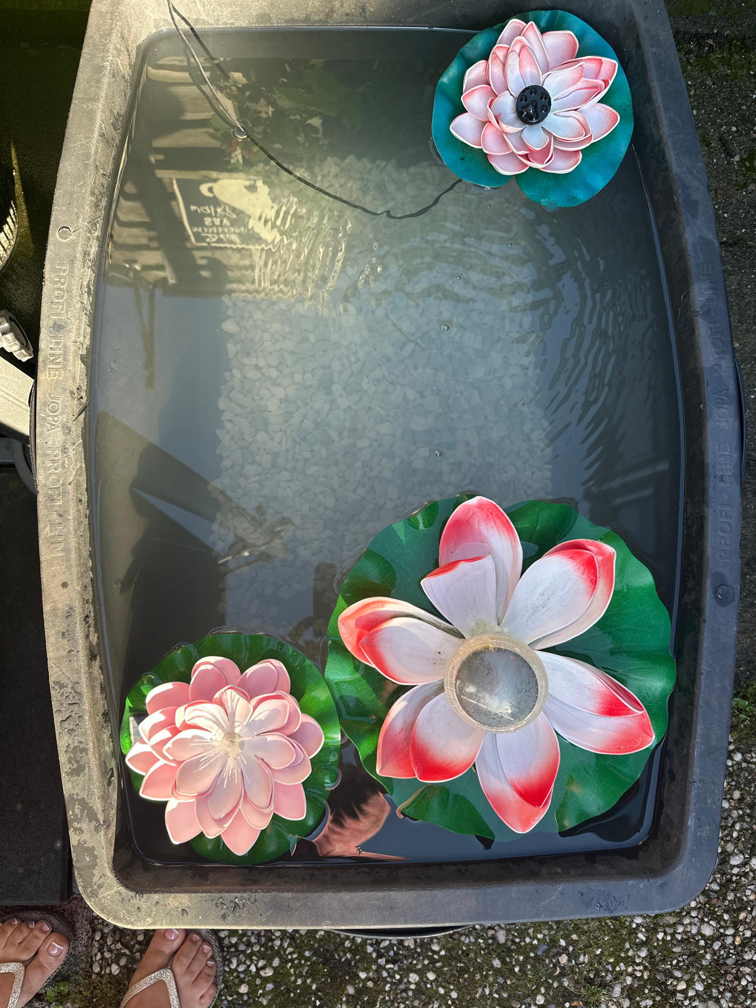 The image shows a rectangular black plastic water tub, likely a water feature or small pond, situated outdoors on a surface covered with gravel and some sparse vegetation. Inside the tub, the water is murky with a layer of small white pebbles visible on the bottom. Two artificial lotus flowers are floating on the water's surface. The larger lotus, positioned towards the bottom right, has white petals with pink edges and a green leaf base. The smaller lotus, floating near the top right, is predominantly pink with a green leaf base. The water surface exhibits ripples, suggesting slight movement. The rim of the tub has embossed text that is partially visible. In the bottom left corner, a person's feet are visible wearing flip-flops, indicating their presence near the tub. The scene is lit by sunlight, casting reflections on the water. The location is specified as Steenwijk, Netherlands.