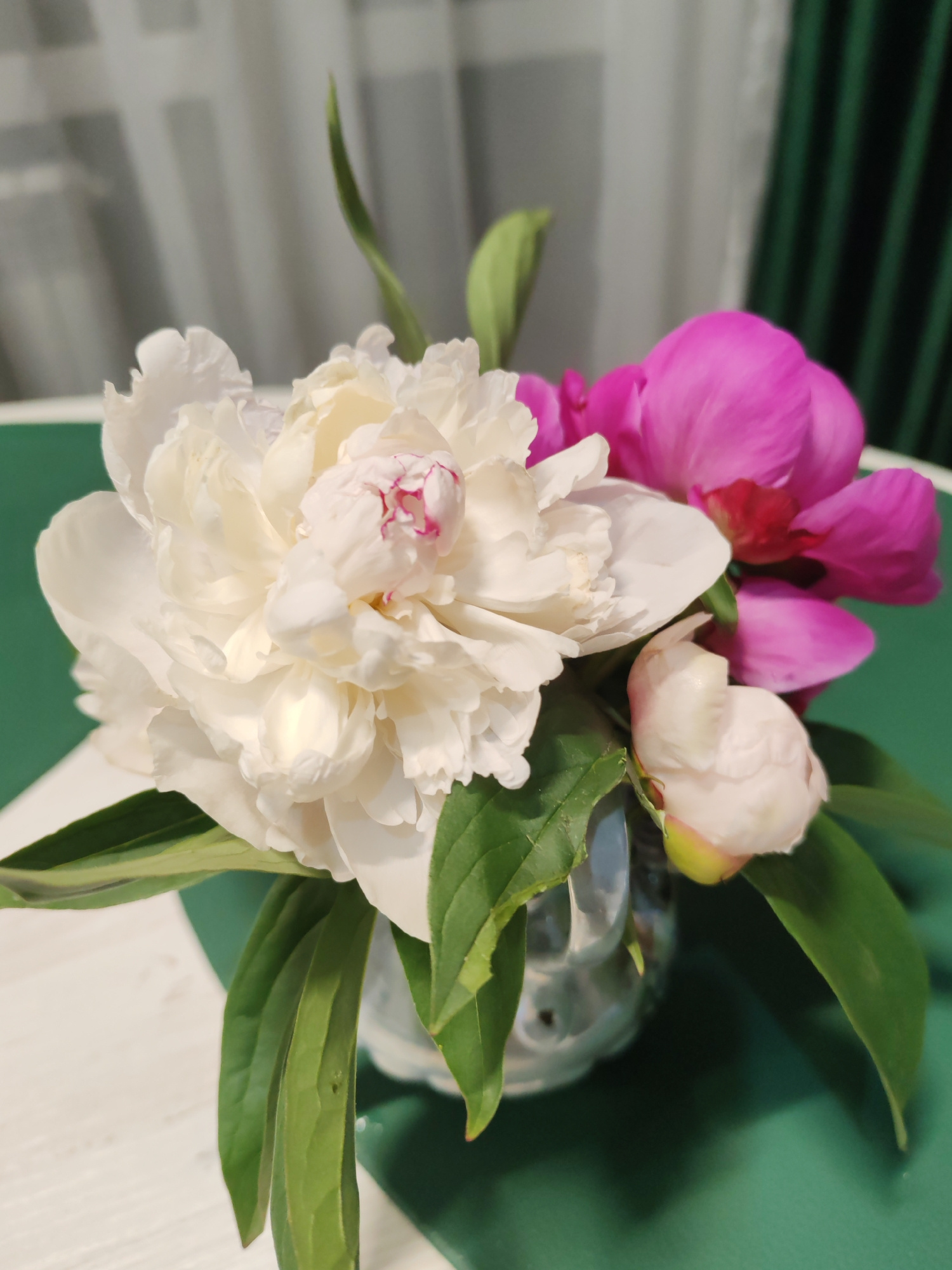 A vase holds a bouquet of peonies. The bouquet consists of one large white peony, two vibrant pink peonies, and a small white bud. The flowers are in a clear glass vase, which is placed on a dark green surface. The background shows a white curtain and dark green vertical blinds, suggesting an indoor setting. The lighting appears to be soft, possibly from natural light filtering through the curtains, creating subtle shadows. The overall impression is one of natural beauty and a peaceful moment, possibly during daytime. There is no visible text in the image.