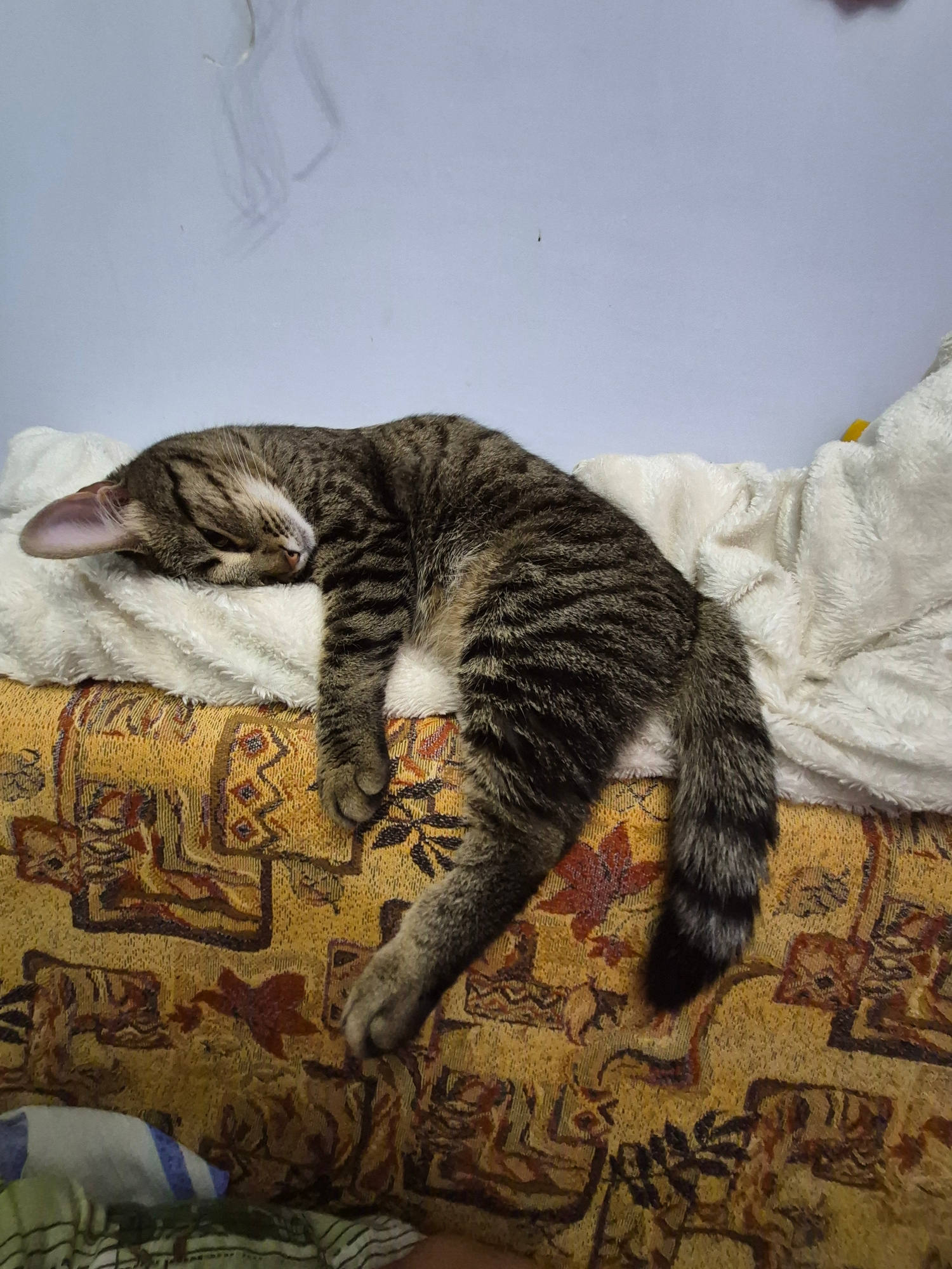 A tabby cat is sleeping soundly on a patterned couch with a white fluffy blanket. The cat is curled up on its side, with its head resting on the blanket. Its eyes are closed, and its breathing is calm. The couch is covered in a yellow and brown patterned fabric. The blanket is white and fluffy, and it is draped over the cat and the couch. The background is a light blue wall. The scene is well-lit, and the colors are vibrant.