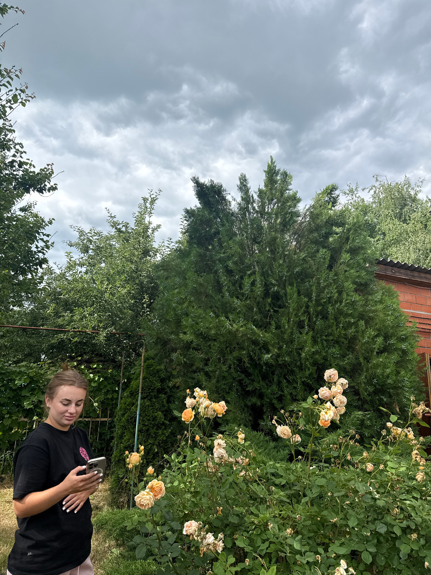 In this media file, a young woman is pictured outdoors, holding a smartphone. She is wearing a black t-shirt and light pink shorts. Her eyes are closed, and she appears to be relaxed, possibly listening to something on her phone or resting. The background consists of lush greenery, featuring a large evergreen tree and a rose bush with several light-colored blooms. A brick building is partially visible behind the evergreen tree, suggesting a residential or garden setting. The sky is overcast with clouds, indicating a cloudy day, likely in the late afternoon or early evening given the lighting. The location is identified as Obukhivka, Ukraine. The overall mood is serene and tranquil.