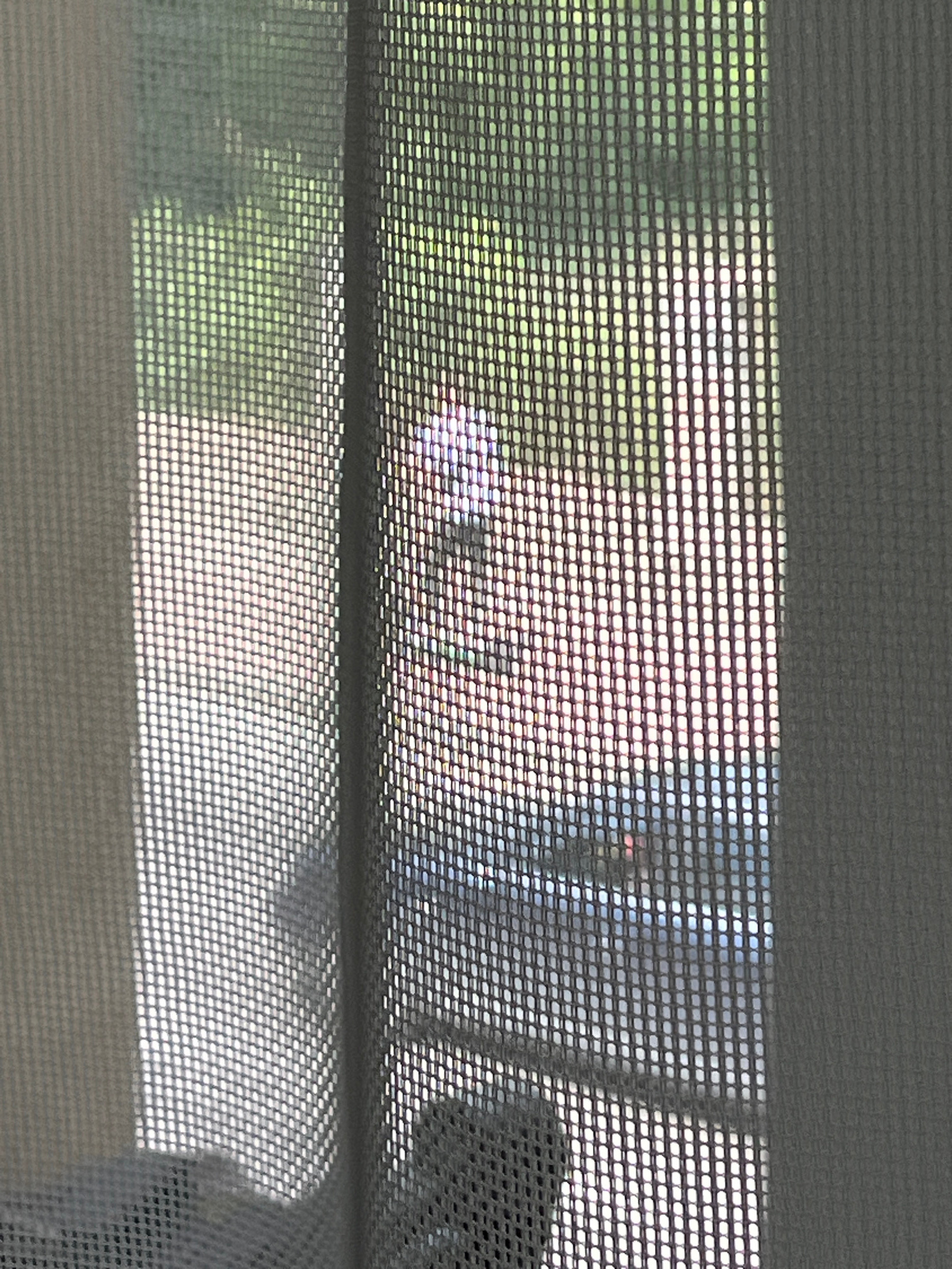 The image shows a view through a window screen, with sheer curtains partially obscuring the scene. In the foreground, the mesh of the screen is visible, creating a grid-like pattern. Behind the screen, a person in a light-colored garment can be seen standing, with a hint of a building and some greenery in the background. The scene appears to be outdoors, possibly in a residential area of Lviv, Ukraine. The lighting suggests it is daytime, with sunlight filtering through the window.