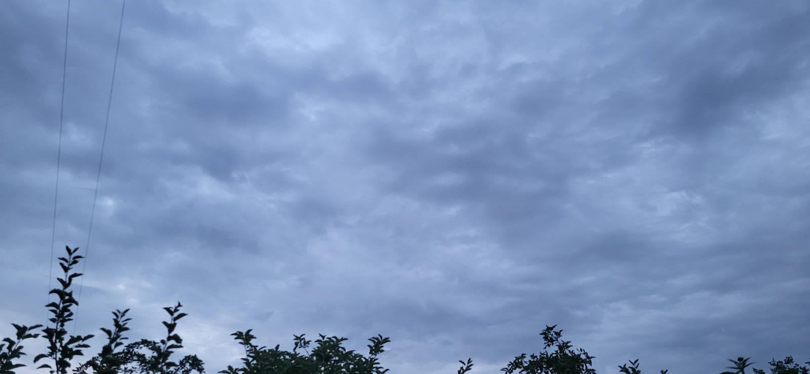 The image shows a cloudy sky with a dark, overcast atmosphere. In the foreground, the silhouettes of trees and branches are visible against the sky, with some dark leaves. To the left of the image, there are three thin, dark lines that appear to be power lines, running vertically upwards. The overall scene suggests an outdoor environment, possibly a park or a residential area, in Almaty, Kazakhstan, given the weather conditions depicted. No people or specific actions are identifiable in the image.