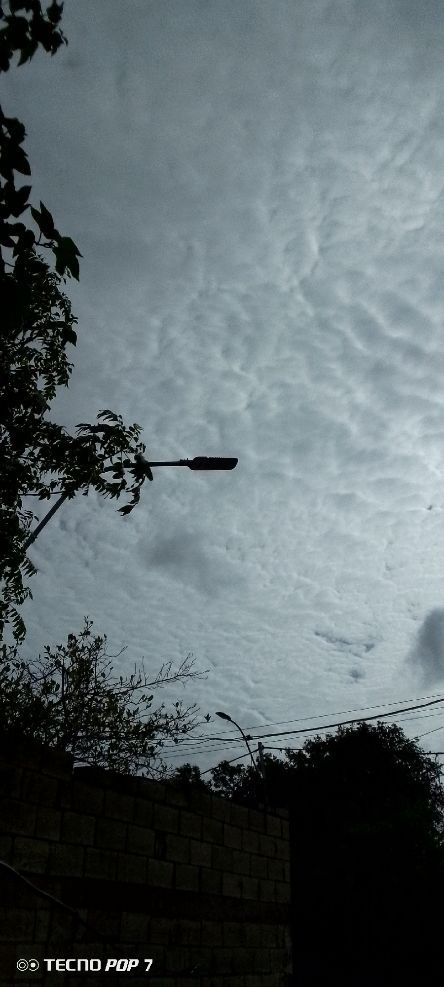 The image depicts a cloudy sky with textured, rippling cloud formations, suggesting a potentially overcast or stormy day. Silhouetted against the sky are various elements: a lamppost extends horizontally from the left side of the frame, partially obscured by the dark leaves and branches of a tree on the far left. Another, smaller lamppost is visible in the mid-ground, positioned above a dark silhouette of trees and a brick wall. Power lines are also visible crisscrossing the upper portion of the scene. The foreground features a dark, rough-textured brick wall. The overall mood is somber and somewhat dramatic due to the dark silhouettes and the cloudy sky. The time of day appears to be either early morning or late evening, given the low light conditions. The visible text at the bottom left corner reads "TECNO POP 7", indicating it's a phone model. The location context is Altagracia, Venezuela.