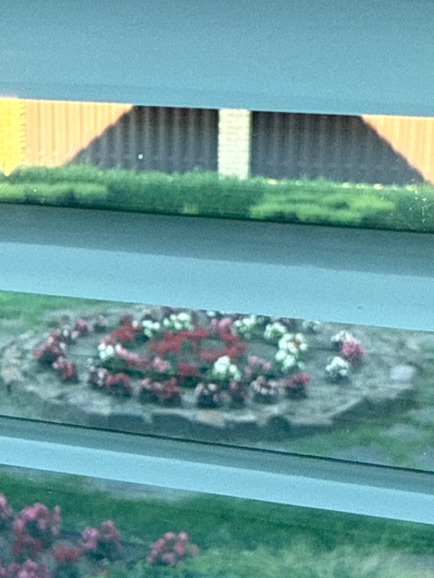 The image shows a close-up view through a window with light blue vertical frames. The scene beyond the window is slightly out of focus, depicting a garden area with lush green foliage and a variety of flowering plants. In the center of the frame, a cluster of flowers with red, white, and pink blossoms is visible. To the left of the flowers, there is a glimpse of what appears to be a wooden structure with horizontal planks, possibly a fence or part of a building, casting a shadow. The lighting suggests it is daytime, with sunlight illuminating the scene. The overall impression is of a peaceful, natural setting, likely a residential garden. The location is identified as Hraniv, Ukraine. There is no visible text in the image.
