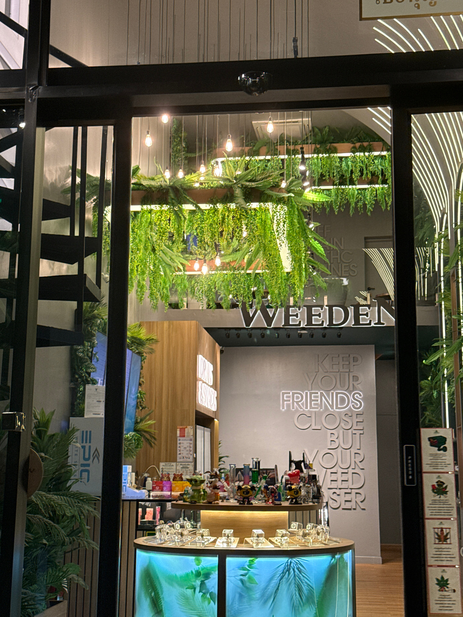 The image captures a glimpse into a modern establishment, likely a cafe or retail space, with a strong emphasis on greenery and stylized lighting. The scene is viewed from an interior perspective, looking outwards through a large glass partition, with the foreground dominated by dark metal framing and railings that create a layered effect.
Inside, lush green plants cascade down vertical walls, creating a vibrant, natural backdrop. These are interspersed with warm, exposed light bulbs, casting a gentle glow on the foliage. The overall impression is one of a contemporary, biophilic design.
Prominently displayed on a wall is a neon sign that reads "KEEP YOUR FRIENDS CLOSE." Below this, another sign, partially obscured and oriented vertically, appears to read "WEEDEN." Further in the background, a display of colorful items, possibly merchandise or decorative objects, are visible on shelves, illuminated by spotlights. There are also digital screens displaying images of tropical leaves.
In the lower portion of the image, reflections in the glass suggest an outdoor setting or another interior space, with hints of light and shadow. The presence of the "EPIC WHITE SANDS" logo on a sign in the background provides a strong location cue, suggesting this establishment is situated in a coastal or resort area.
The time of day appears to be evening or night, given the artificial lighting and the contrast between the illuminated interior and any darker surroundings. The mood is sophisticated and inviting, highlighting the blend of nature, modern design, and commercial activity. No people are clearly visible in the image.
