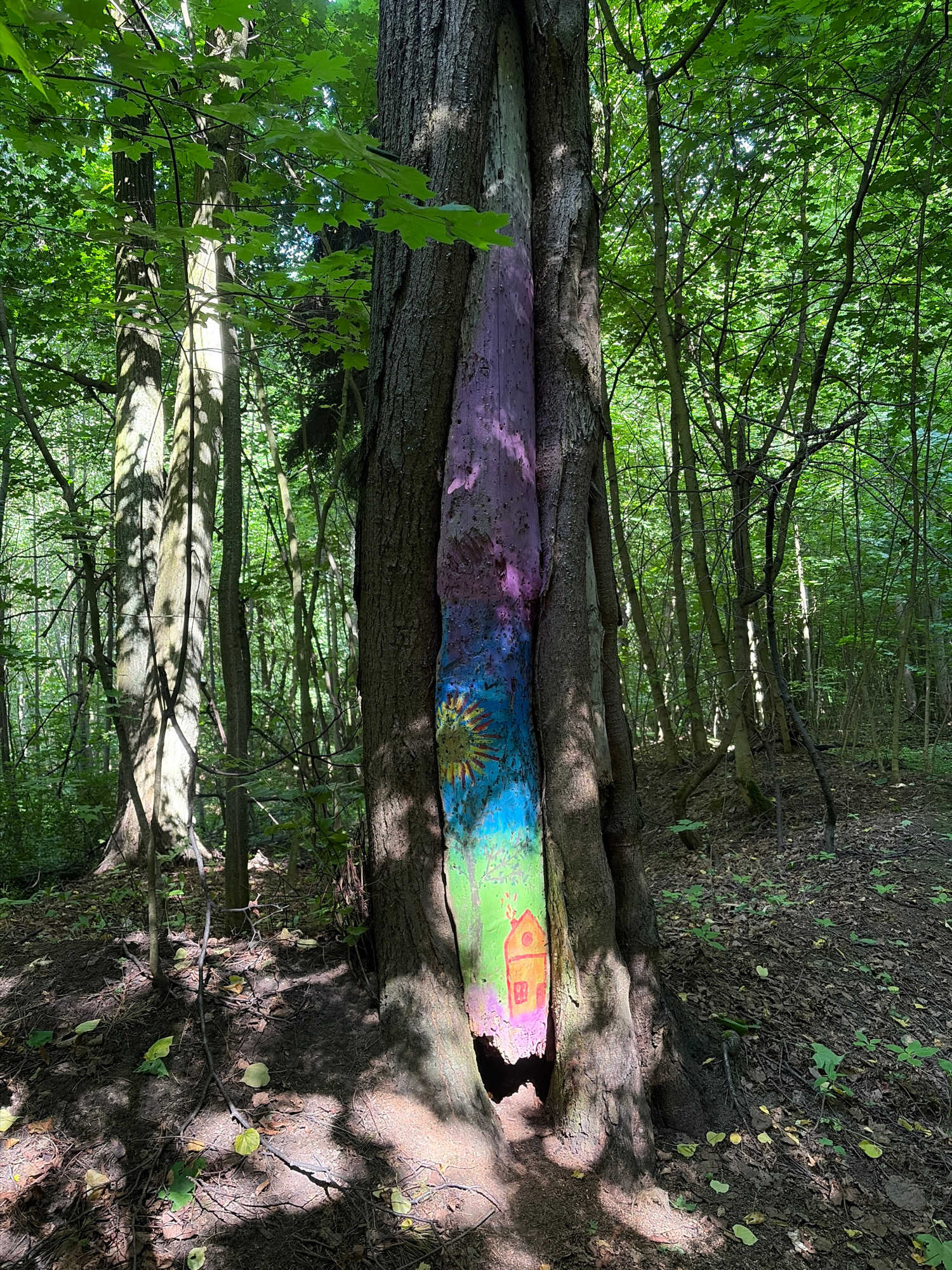 An eye-level, medium shot captures a tree trunk in a forest with art painted onto its surface. The tree stands in the center of the frame, with its bark textured and dark. A vertical section of the trunk, approximately one-third of the way up from the base, has been painted with a mural. The mural features a gradient of colors, starting with a light purple at the top, transitioning to pink, then bright blue, and ending with a green and yellow section. Within the green and yellow area, a simple, orange house with a red door and windows is depicted. Above the house, a yellow sun with rays is painted. The tree is surrounded by a dense forest with numerous other trees and lush green foliage. Sunlight filters through the canopy, casting dappled shadows on the forest floor, which is covered in dry leaves and small plants. No people or animals are visible in the scene. The ground is uneven and slopes slightly away from the tree.