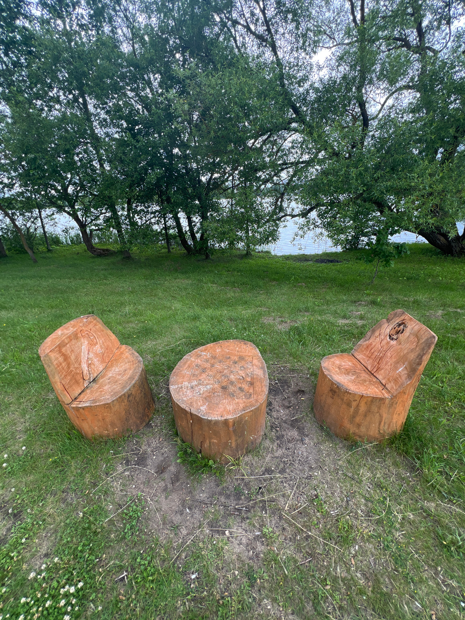 This image depicts an outdoor seating area constructed from large tree stumps. There are two chairs and a table, all made from roughly cut logs, positioned on a grassy area. The chairs have carved-out seats, and the table is a flat-topped stump. In the background, a body of water, likely a river or lake, is visible, bordered by a line of trees with dense green foliage. The sky above is overcast. The scene appears to be in a natural setting, possibly a park or recreational area. There are no people or animals present in the image. The location is not explicitly identifiable as Minsk, Belarus based on the visual information provided.