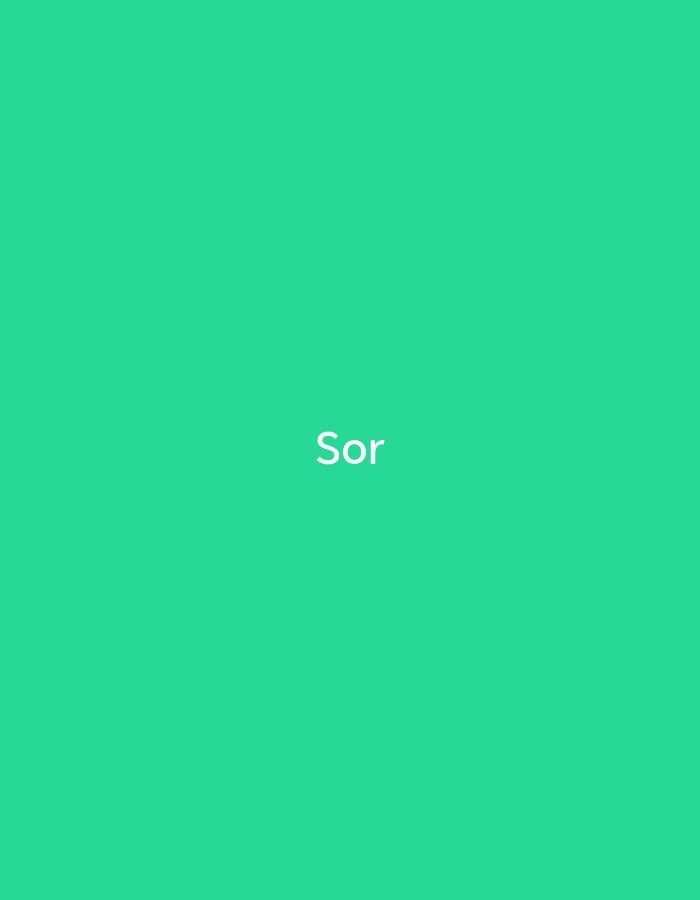 A single word, "Sor", is displayed in white text against a solid, vibrant teal background. The text is centered horizontally and vertically within the frame.
