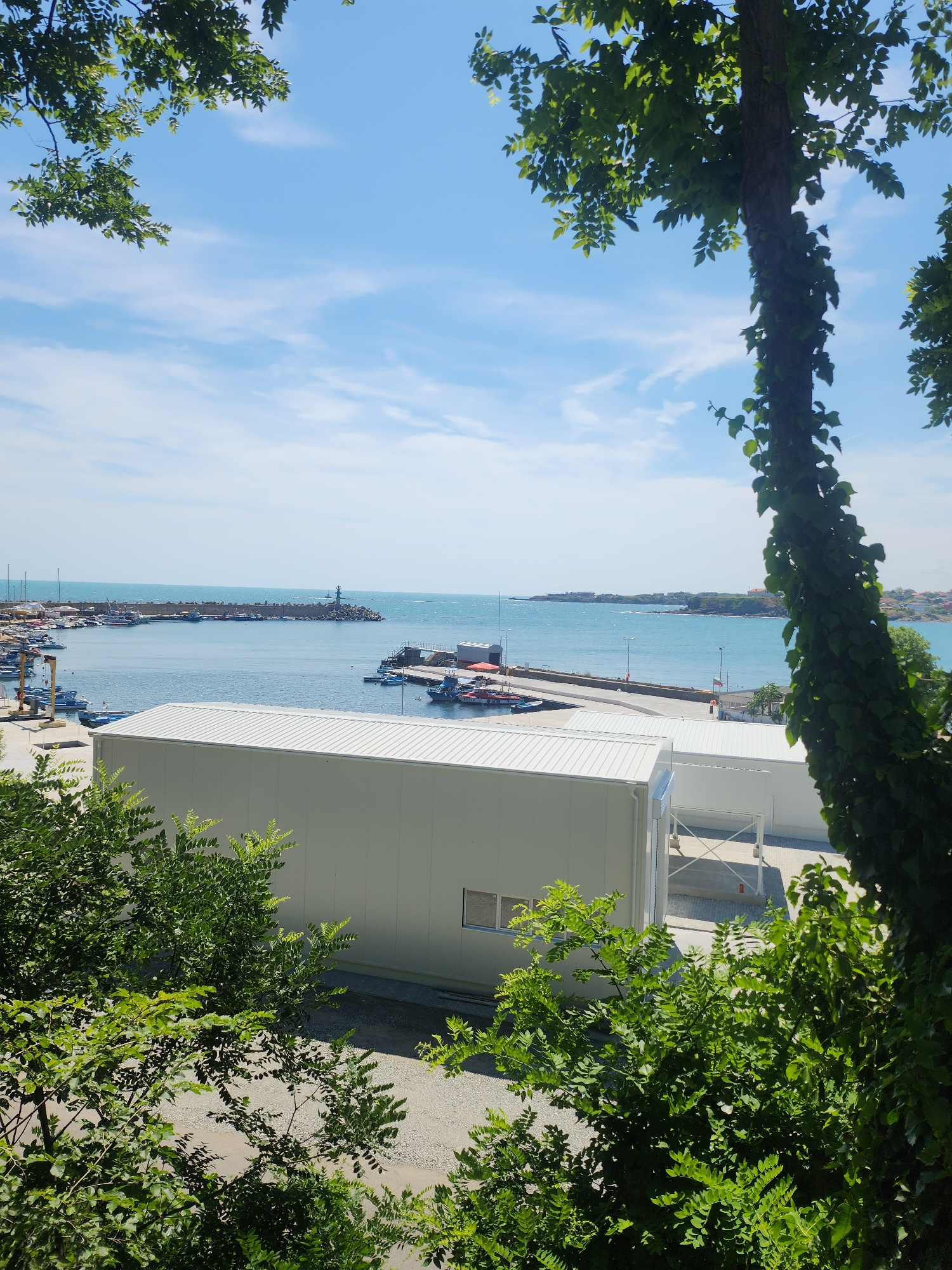 The image captures a view from an elevated position, looking out over a coastal area. In the foreground, lush green trees and branches frame the scene, with a thick vine-covered tree trunk prominent on the right. Below the trees, a modern, white, rectangular building with a metal roof is visible. This building appears to be a temporary or modular structure, possibly a facility or storage unit. Beyond this structure, a harbor unfolds, filled with numerous boats of various sizes docked in the calm, blue water. A breakwater, constructed with large rocks, extends into the sea, with a lighthouse visible at its end. The distant coastline shows a town with buildings nestled along the hills. The sky is a clear, bright blue with scattered white clouds. The overall impression is a serene, sunny day at a coastal town. This scene is located in Tsarevo, Bulgaria, likely overlooking its harbor.