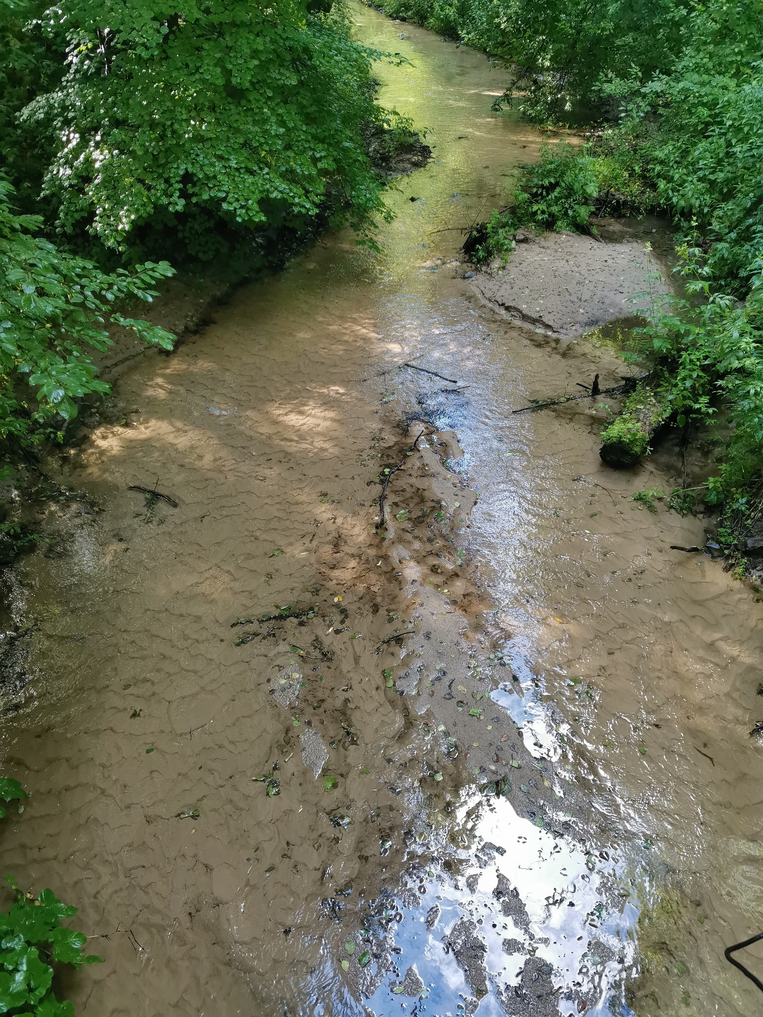 An overhead view captures a narrow, shallow stream flowing through a dense, green forest. The water is murky and light brown, reflecting sunlight and the surrounding foliage. The streambed is composed of sand with ripples and sediment deposits, interspersed with fallen leaves and small branches. The banks of the stream are lined with thick, vibrant green trees and undergrowth, with sunlight filtering through the leaves to cast dappled shadows on the water's surface. The scene appears tranquil and untouched, conveying a sense of natural beauty and seclusion within a forest environment.