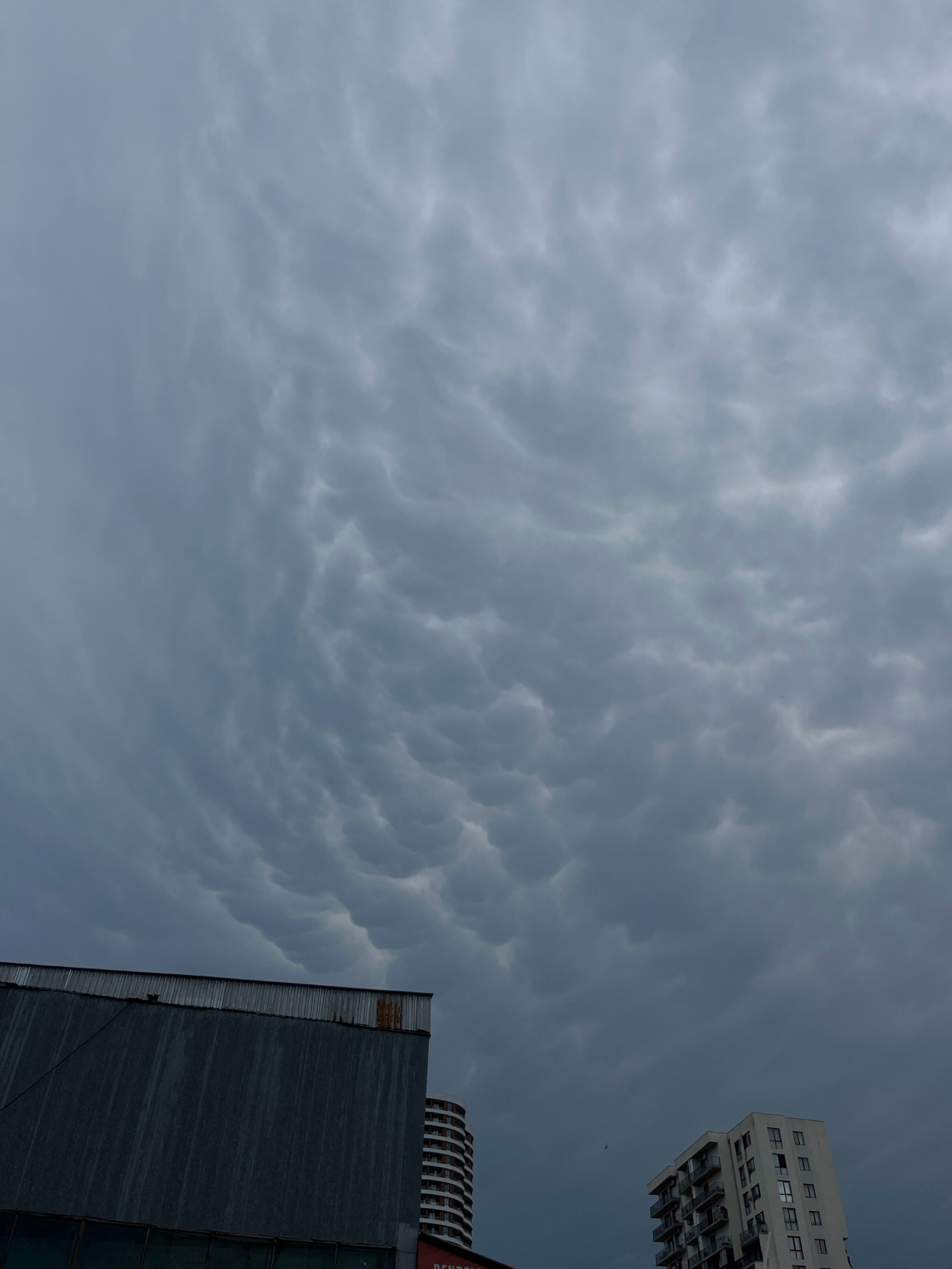 The image captures a dramatic, overcast sky filled with mammatus clouds, which appear as pouch-like formations hanging from the underside of a cloud. In the foreground, a dark, industrial-looking building with a weathered metal roof is visible on the left. To the right, a modern residential building with multiple balconies stands tall. The overall scene suggests an impending storm or the aftermath of one. The presence of urban architecture indicates a city environment. The specific location is identified as being in Tbilisi, Georgia, based on context external to the image itself. No people or specific actions are depicted; the focus is on the atmospheric conditions and the urban landscape.
