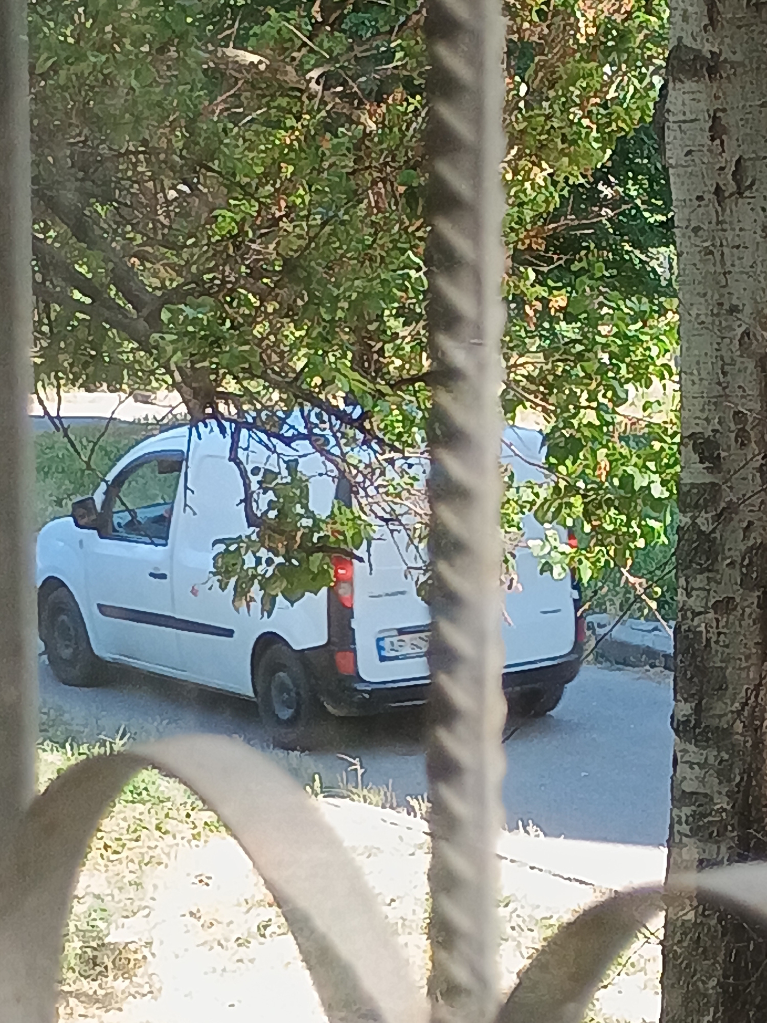 The image shows a white van parked on a paved surface, possibly a street or a driveway, in Zaporizhzhia, Ukraine. The van is partially obscured by the branches of a tree with green leaves. The van appears to be a commercial vehicle, possibly a panel van or a small truck. The license plate is partially visible, with some Cyrillic characters and numbers. In the foreground, there are blurred metal bars, suggesting the photo was taken from behind a fence or gate. The environment appears to be outdoors, with sunlight filtering through the leaves, creating dappled shadows. The ground around the van is covered with grass and some gravel. The image has a slightly grainy quality, possibly due to low light conditions or the camera used.