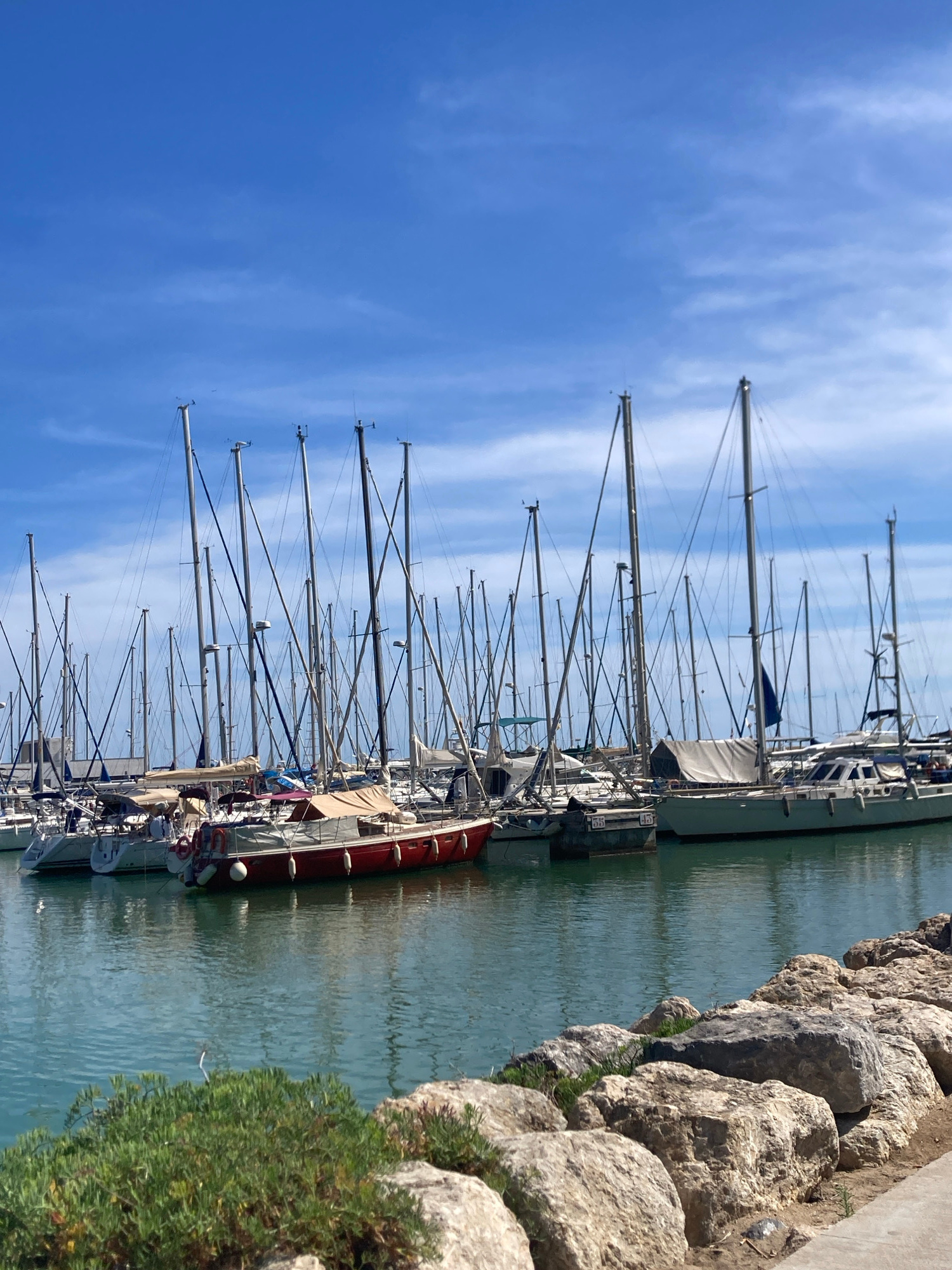 This media file depicts a marina scene in Sitges, Spain, on a bright, sunny day. The image is oriented vertically, showing a row of sailboats docked in calm, blue water. The sky is a vibrant blue with scattered white clouds, suggesting pleasant weather.
The sailboats are the primary objects, with their tall masts and rigging prominently visible, filling much of the frame. One larger red-hulled sailboat is particularly noticeable, docked alongside several white-hulled vessels. The boats appear to be moored in a calm harbor, with a rock wall forming the edge of the marina on the right side of the image. Green vegetation grows sparsely among the rocks.
No people are clearly visible in the image. The scene conveys a sense of tranquility and leisure, typical of a marina on a clear day. The presence of sailboats and the waterfront setting strongly indicate a coastal location. The time of day appears to be daytime, with the bright sunlight casting minimal shadows. There is no visible text in the image.
