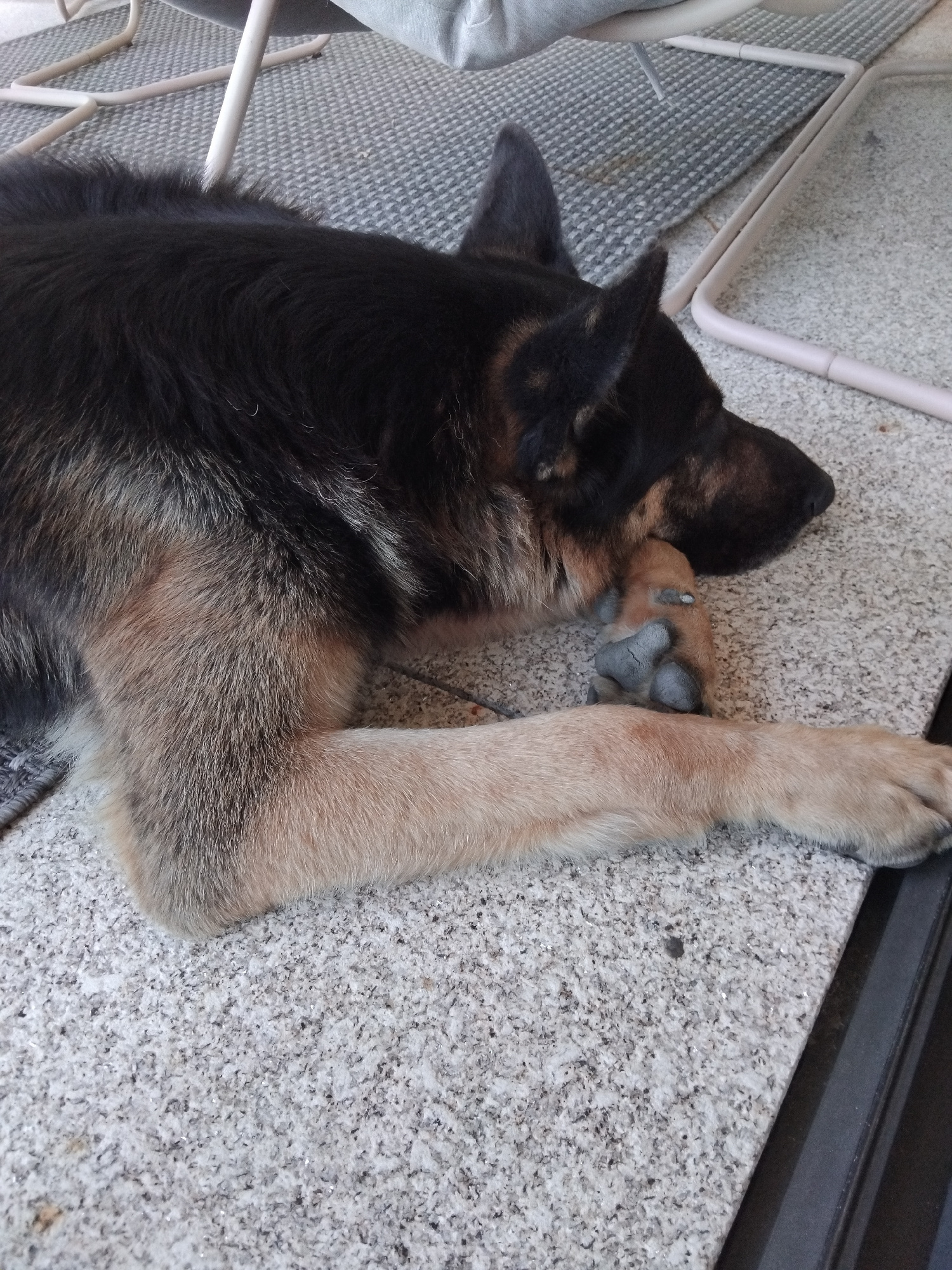 A German Shepherd dog is lying on its side on a speckled, grey outdoor surface. The dog's front paws are crossed, with its head resting on one of them. The dog has black and tan fur. In the background, there are parts of outdoor furniture and a grey textured mat. This scene appears to be located on a patio or balcony.