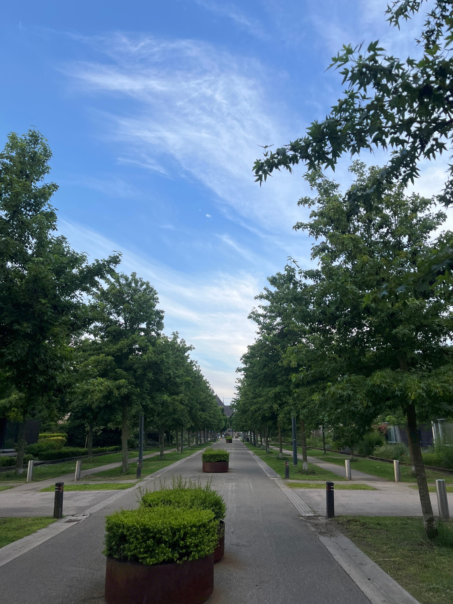 A straight, paved pathway lined with trees on both sides extends into the distance under a blue sky with wispy clouds. The pathway is bordered by green grassy areas and some modern buildings are visible in the background. There are planters with green bushes along the side of the pathway. The scene appears to be in a park or a well-maintained urban area. There are no people or animals visible in the image. The location is the city of Enschede, Netherlands.