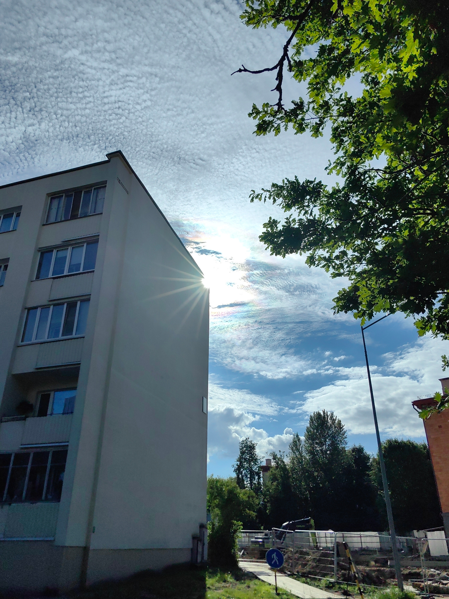 A low-angle shot captures a modern apartment building with a light-colored facade, punctuated by rows of windows. The building is angled to the left, with its corner prominent against a bright sky. Sunlight streams from the right, creating a sunburst effect and a rainbow-like atmospheric phenomenon, suggesting a clear, sunny day with some atmospheric moisture. The sky is a vivid blue, filled with scattered, wispy clouds that form a textured pattern.
In the foreground, to the right, a large oak tree with vibrant green leaves partially obscures the view, its branches reaching down from the top of the frame. A dark lamppost stands tall, extending upwards through the greenery. In the distance, beyond the apartment building and a line of trees, a construction site is visible, marked by fencing and some heavy machinery. A blue circular sign with a white pedestrian icon is placed on the sidewalk, indicating a walking path. The overall scene evokes a bright, possibly warm, summer day. The location is identified as Minsk, Belarus. No visible text is present in the image.