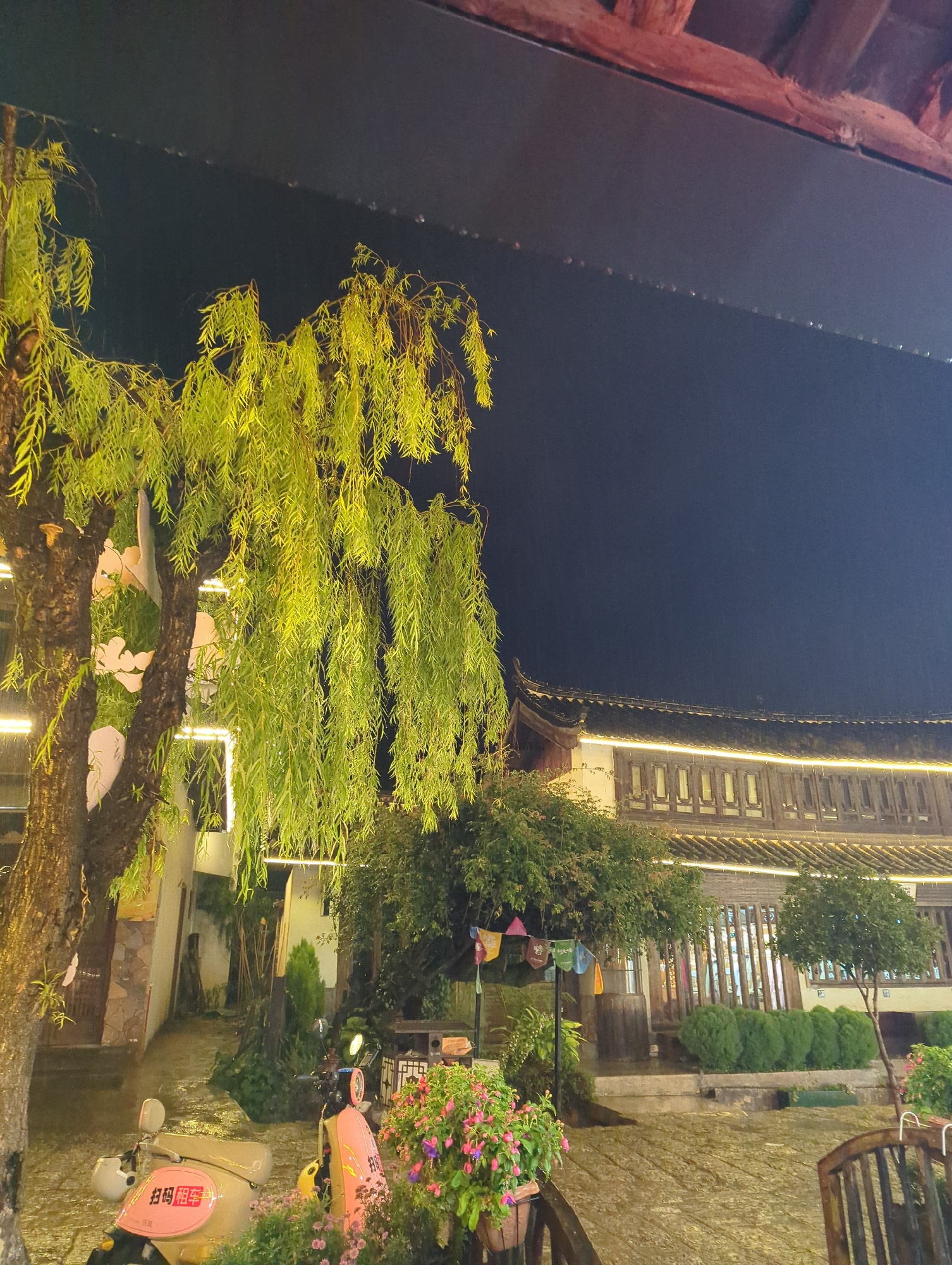 The image depicts a nighttime scene in Yulong Nakhi Autonomous County, China, featuring a courtyard area with traditional architecture. A large weeping willow tree with bright green foliage dominates the left side of the frame, illuminated by string lights. In the foreground, two scooters are parked, one beige and one pink. The pink scooter has Chinese characters on its side. A variety of flowering plants in pots are visible, adding color to the scene. Behind the scooters, a long, low building with a tiled roof and wooden windows is lit up by more string lights that follow the eaves. The ground appears wet, suggesting recent rain. The sky is dark, indicating nighttime. Wooden beams and a dark overhang are visible at the very top of the image.
